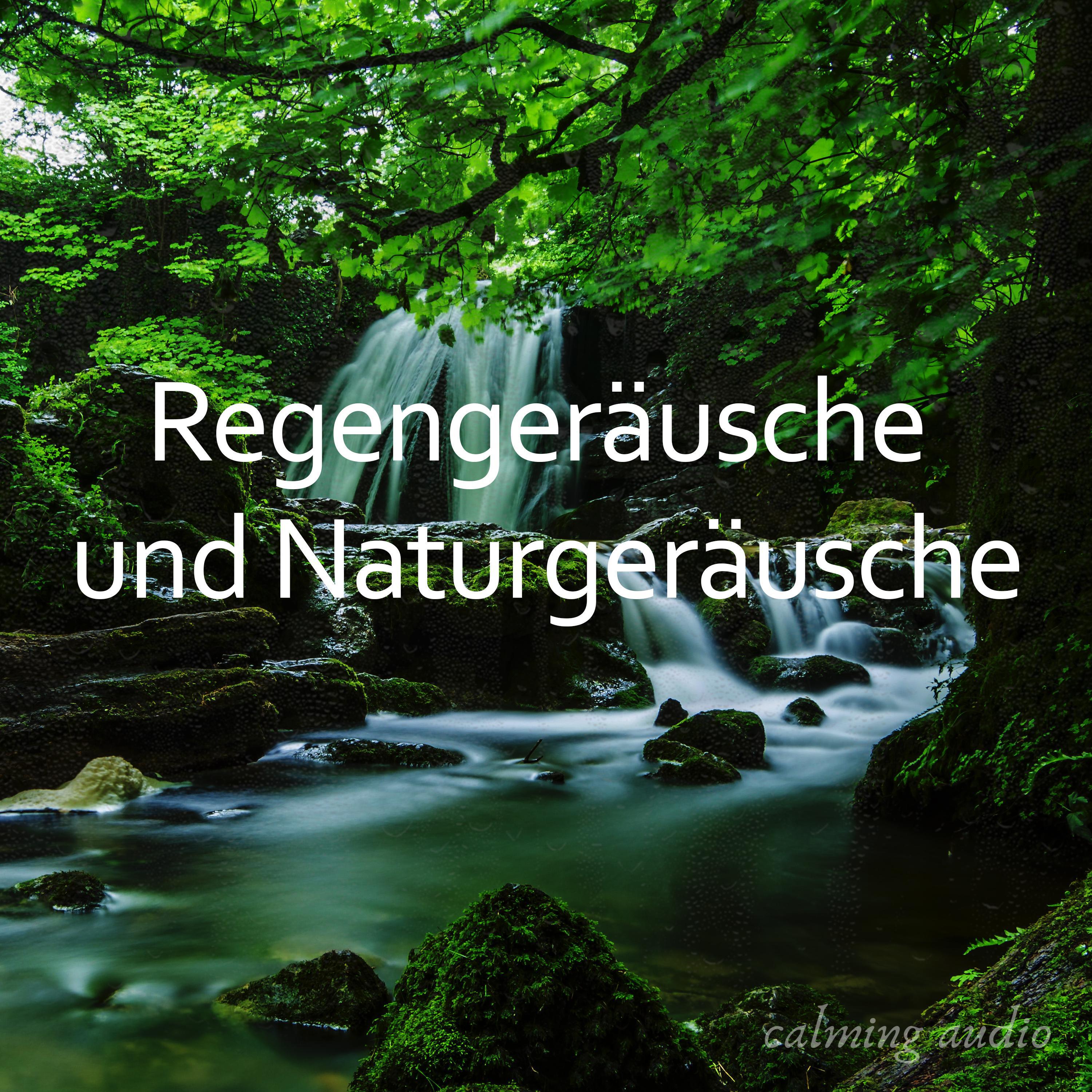 Regengeräusche und Naturgeräusche