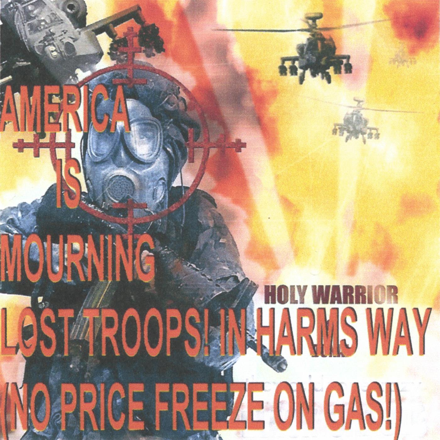 AMERICA IN HARMS WAY 'cd music downloads'