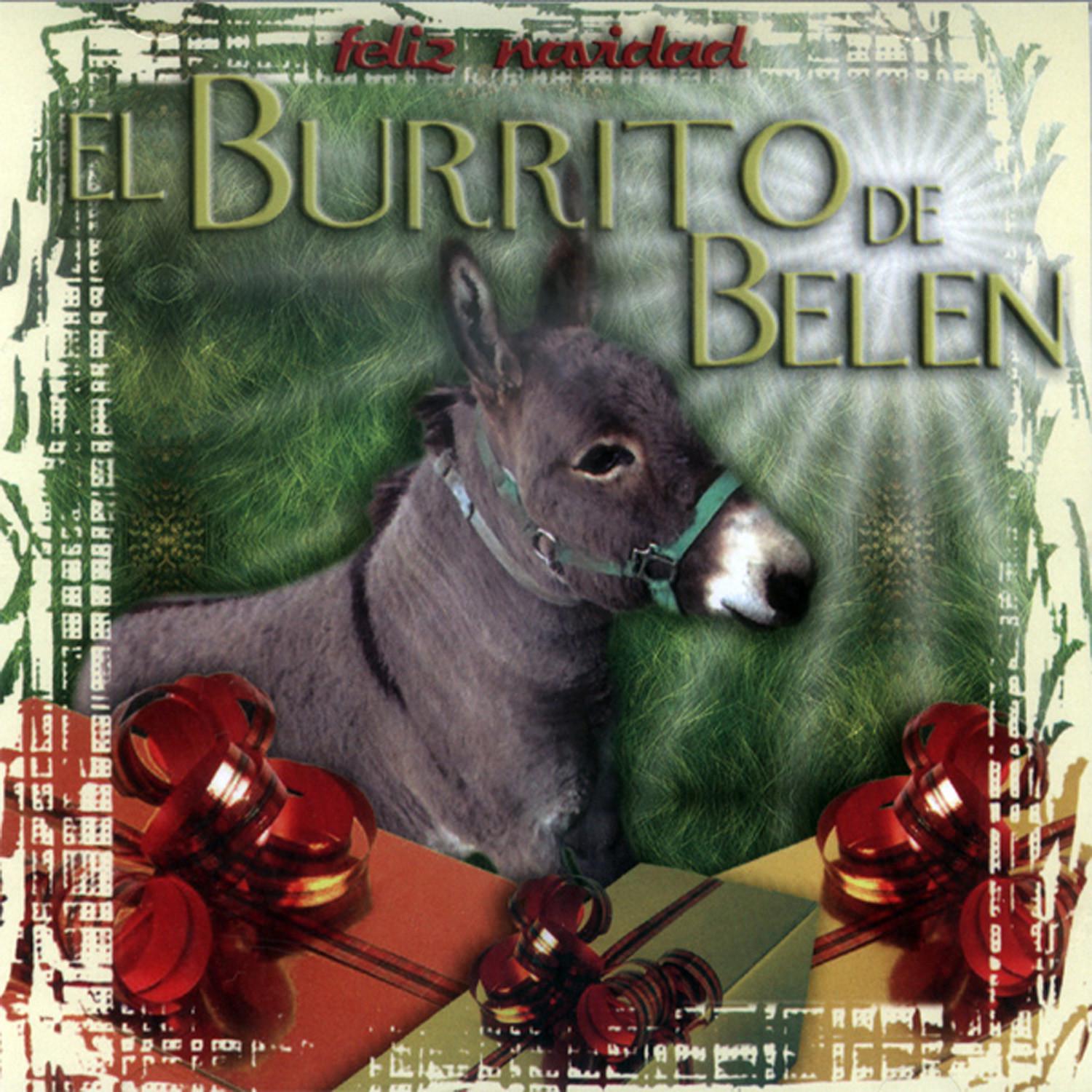 Burrito de Belen