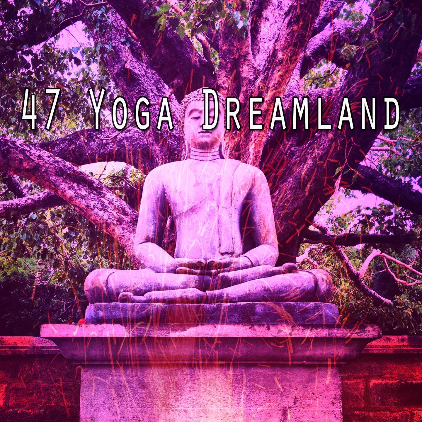 47 Yoga Dreamland
