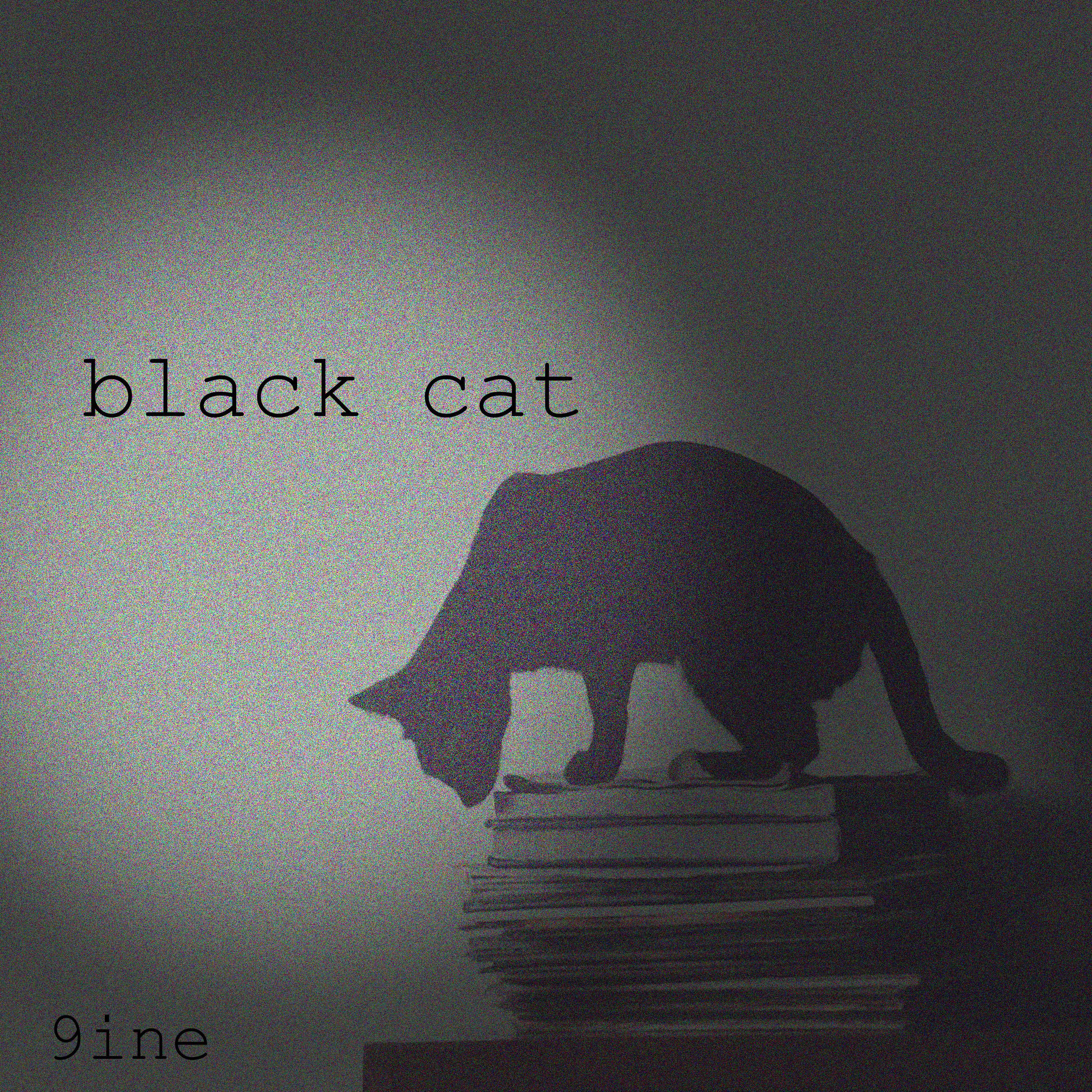 Black Cat