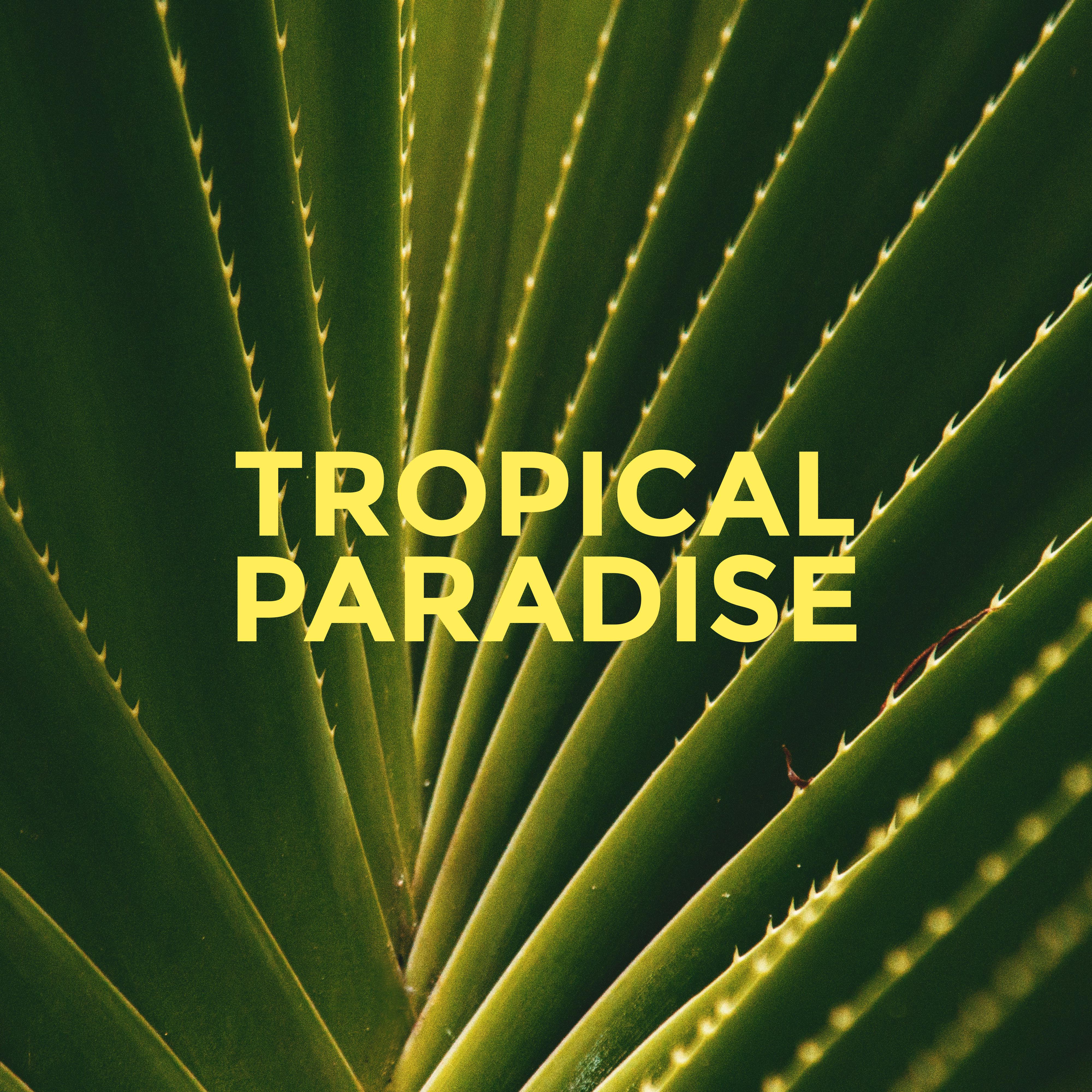 Tropical Paradise – Summer Music 2019, Fresh Relaxing Chill, Lounge Music, Peaceful Chillout Melodies, Deep Vibes, Beach Music