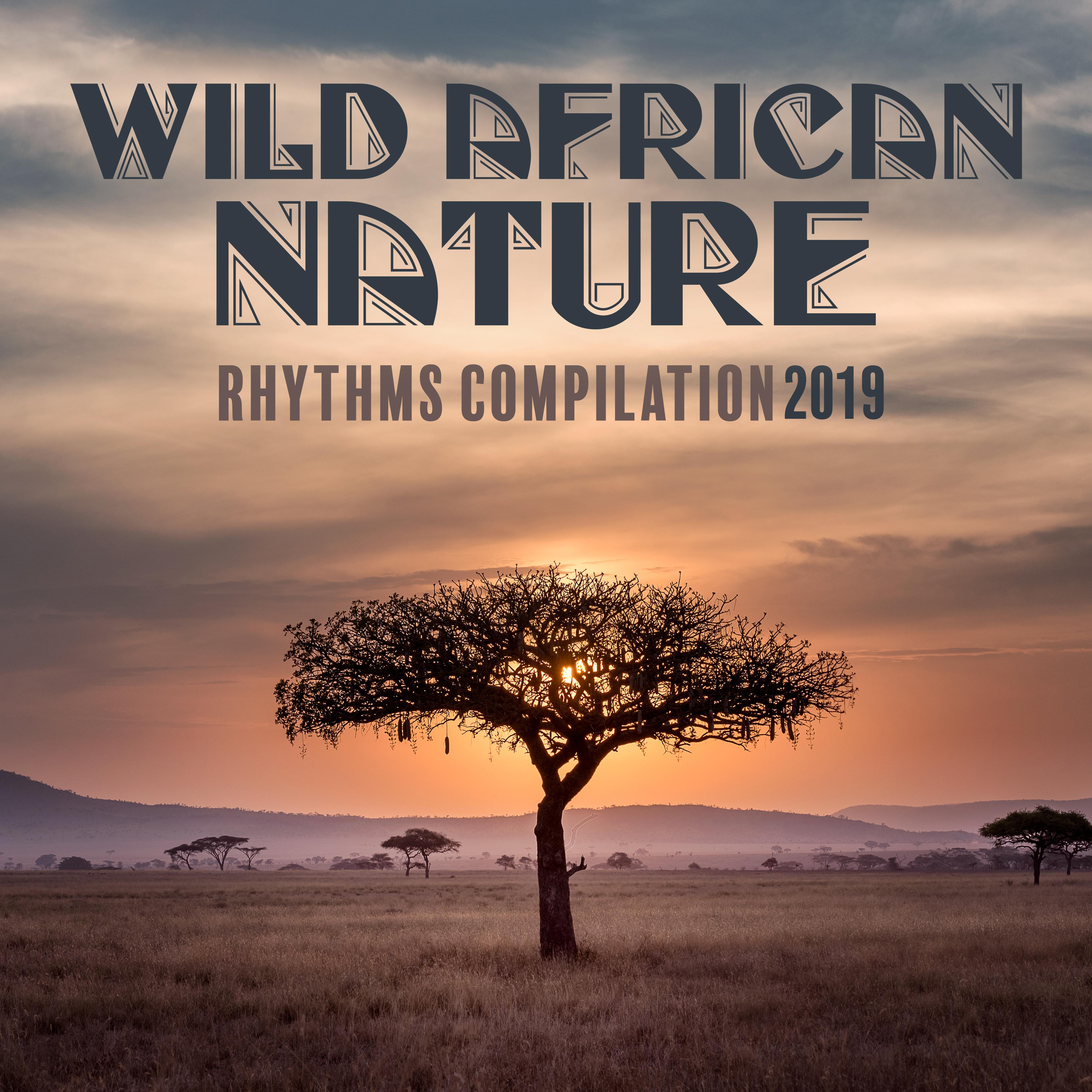 Wild African Nature Rhythms Compilation 2019