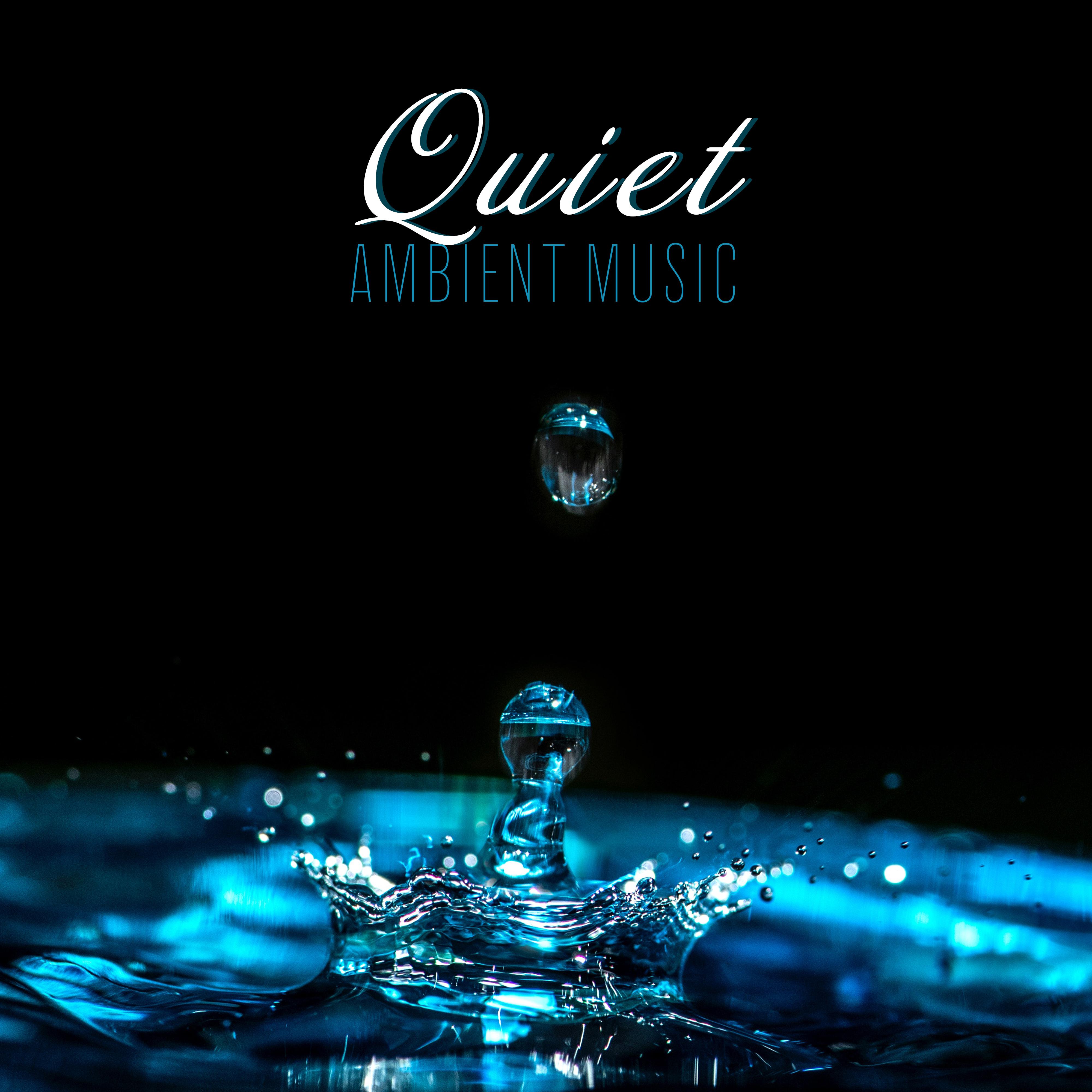Quiet Ambient Music: Calm, Gentle and Quiet Ambient Compositions with the Sounds of Nature, Birds Singing and the Sound of Water