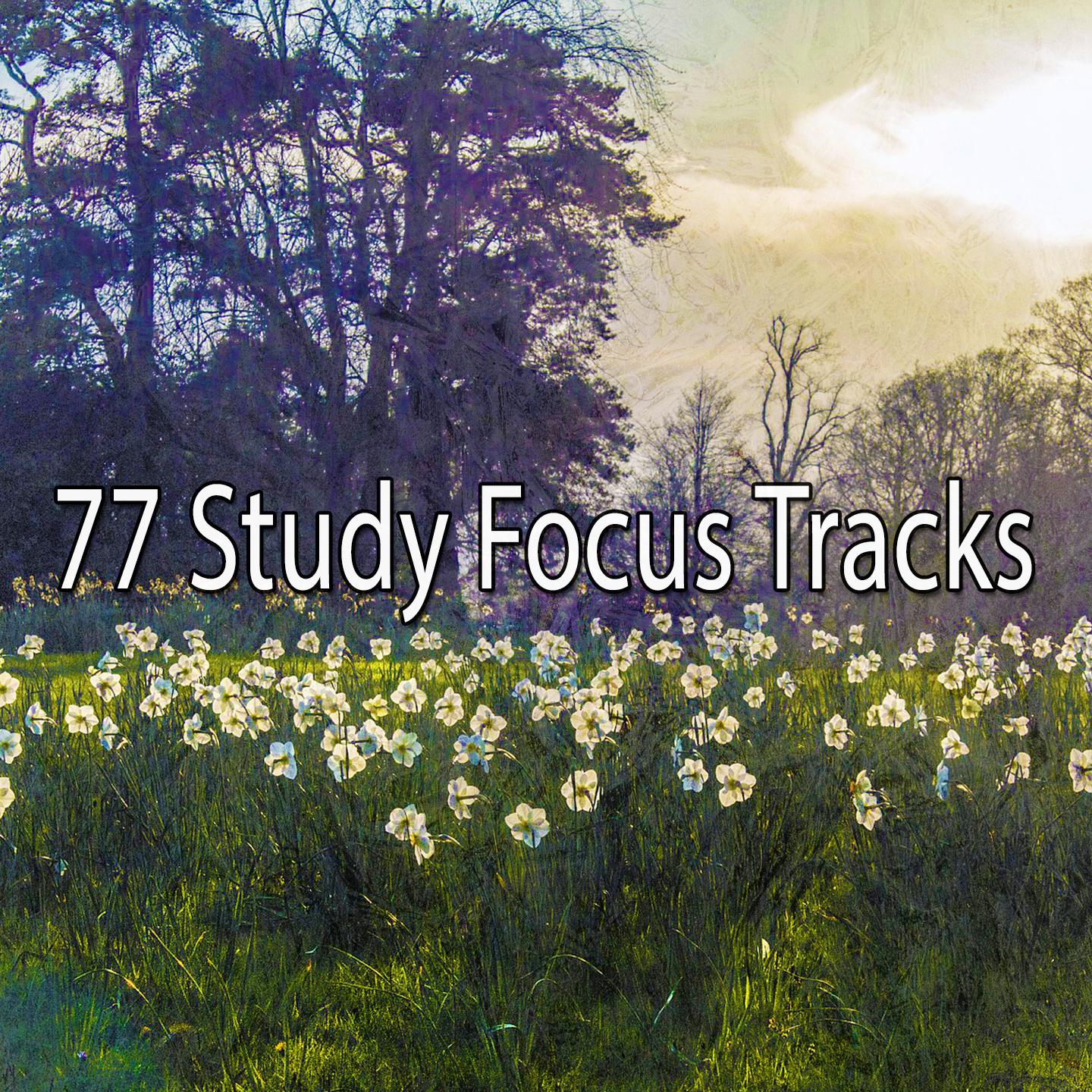 77 Study Focus Tracks