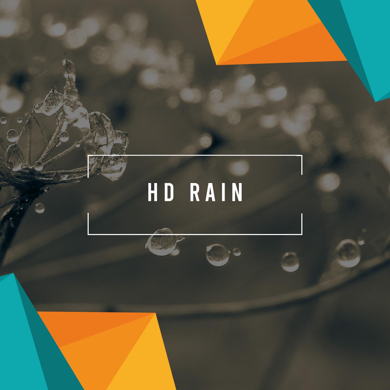15 HD Rain Sounds Hear Every Droplet Natural and Calming