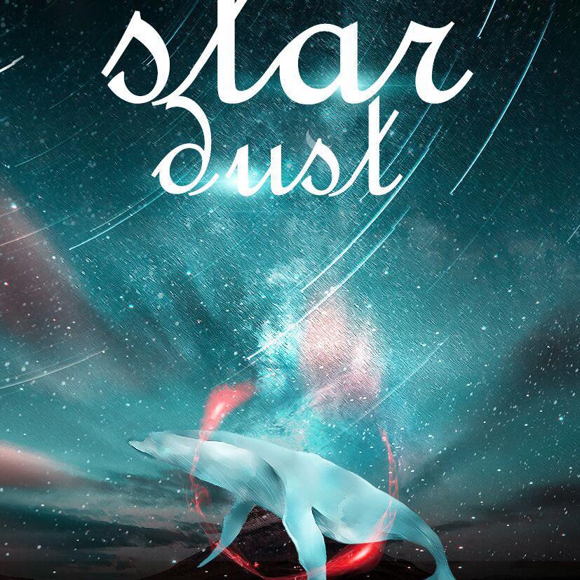 【Star Dust】——记娄影《不要在垃圾桶里捡男朋友》同人歌曲