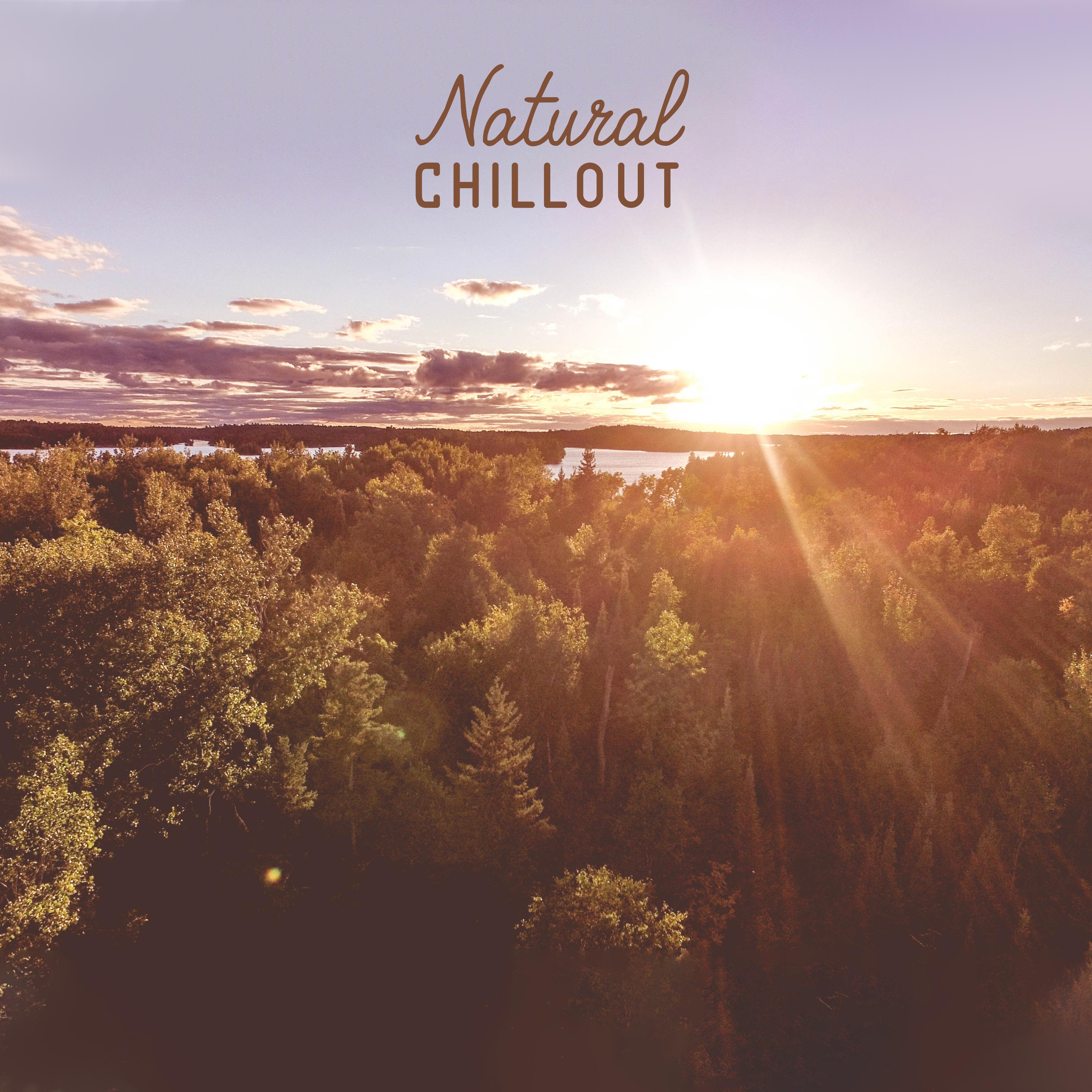 Natural Chillout: Relaxing Ambient Music, Natural Soundscapes, Music to Relax, Sleep, Rest, Calm Down, Meditate and Contemplate, Spa, Massage or Wellness