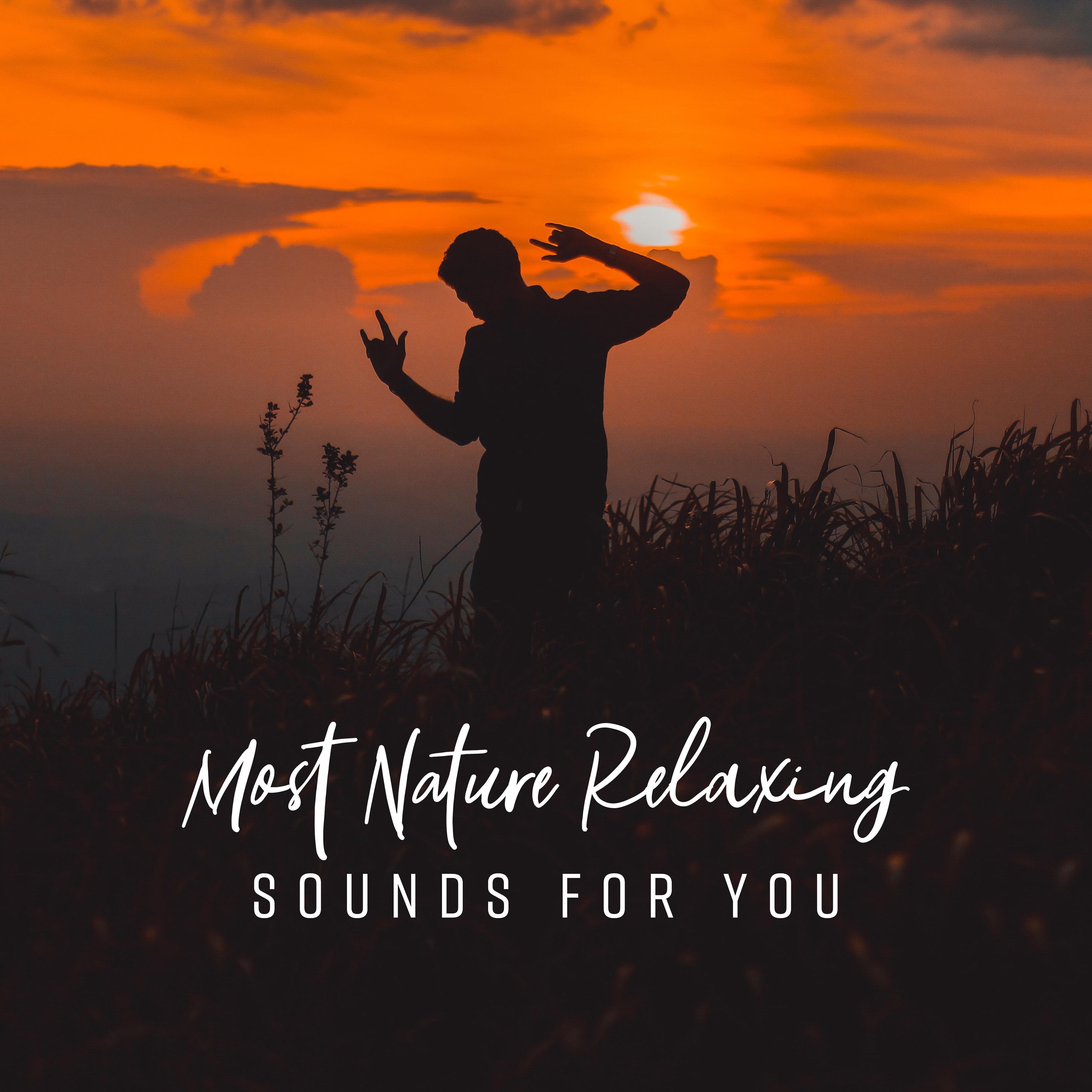 Most Nature Relaxing Sounds for You – Compilation of Nature 2019 New Age Music, Total Relaxation Sounds, Melodies to Calm Down, Stress Relief & Rest