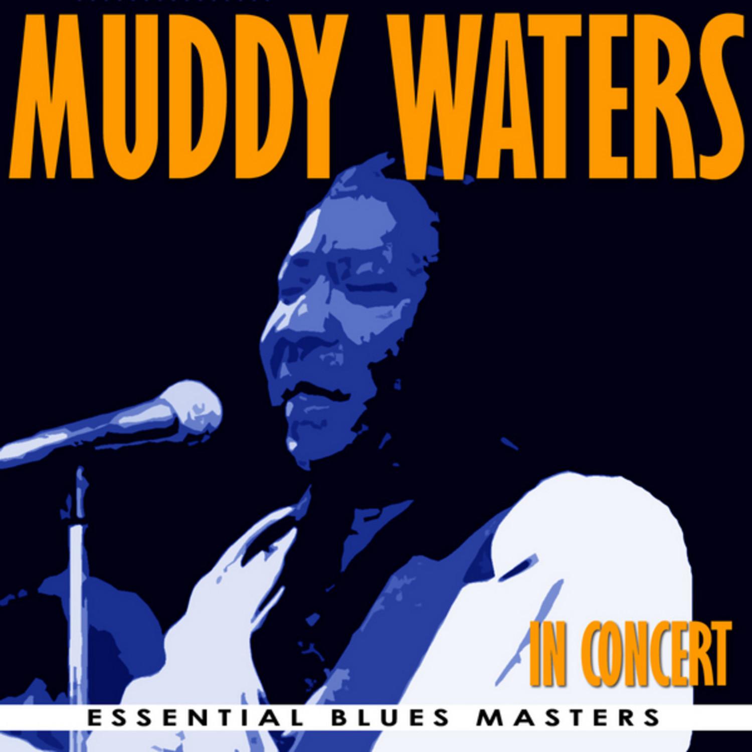 Muddy Waters In Concert