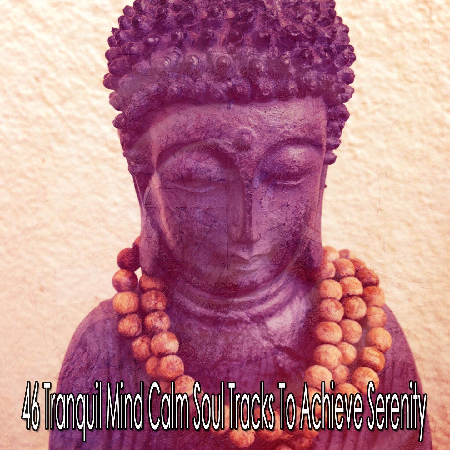 46 Tranquil Mind Calm Soul Tracks to Achieve Serenity