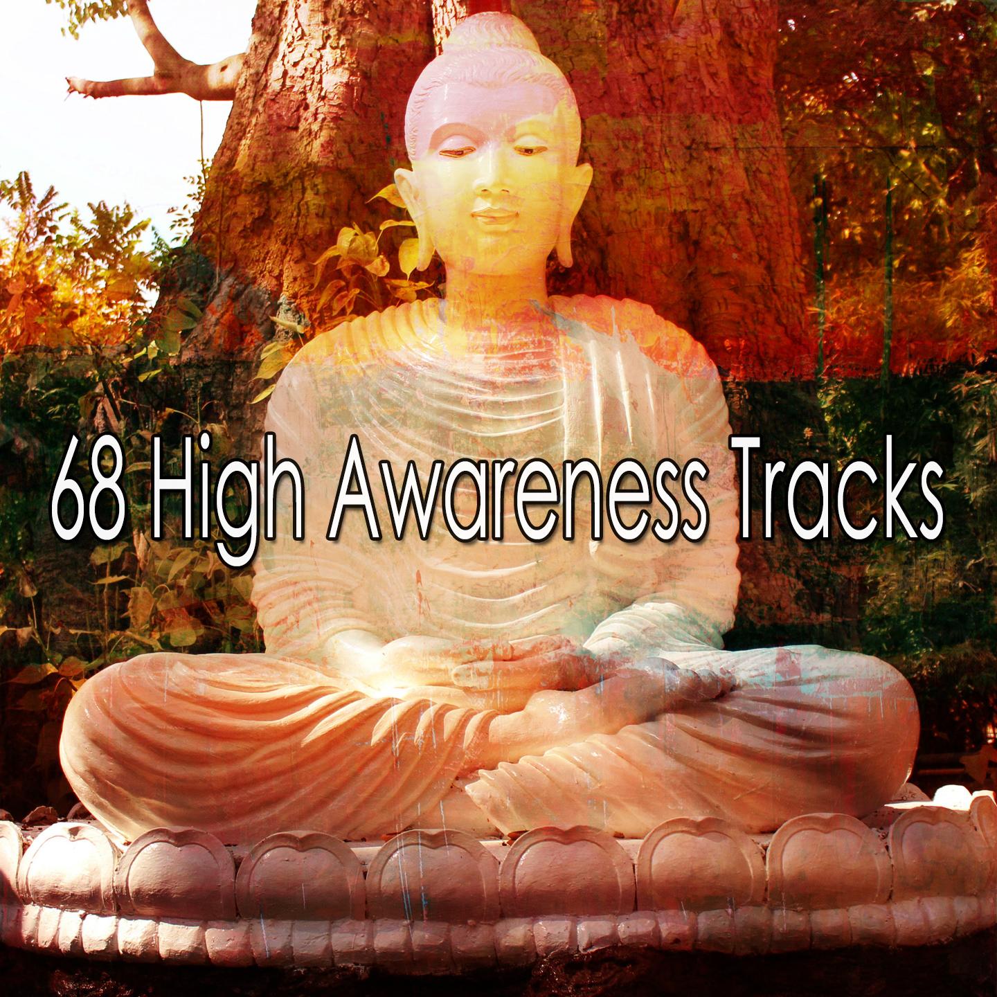 68 High Awareness Tracks
