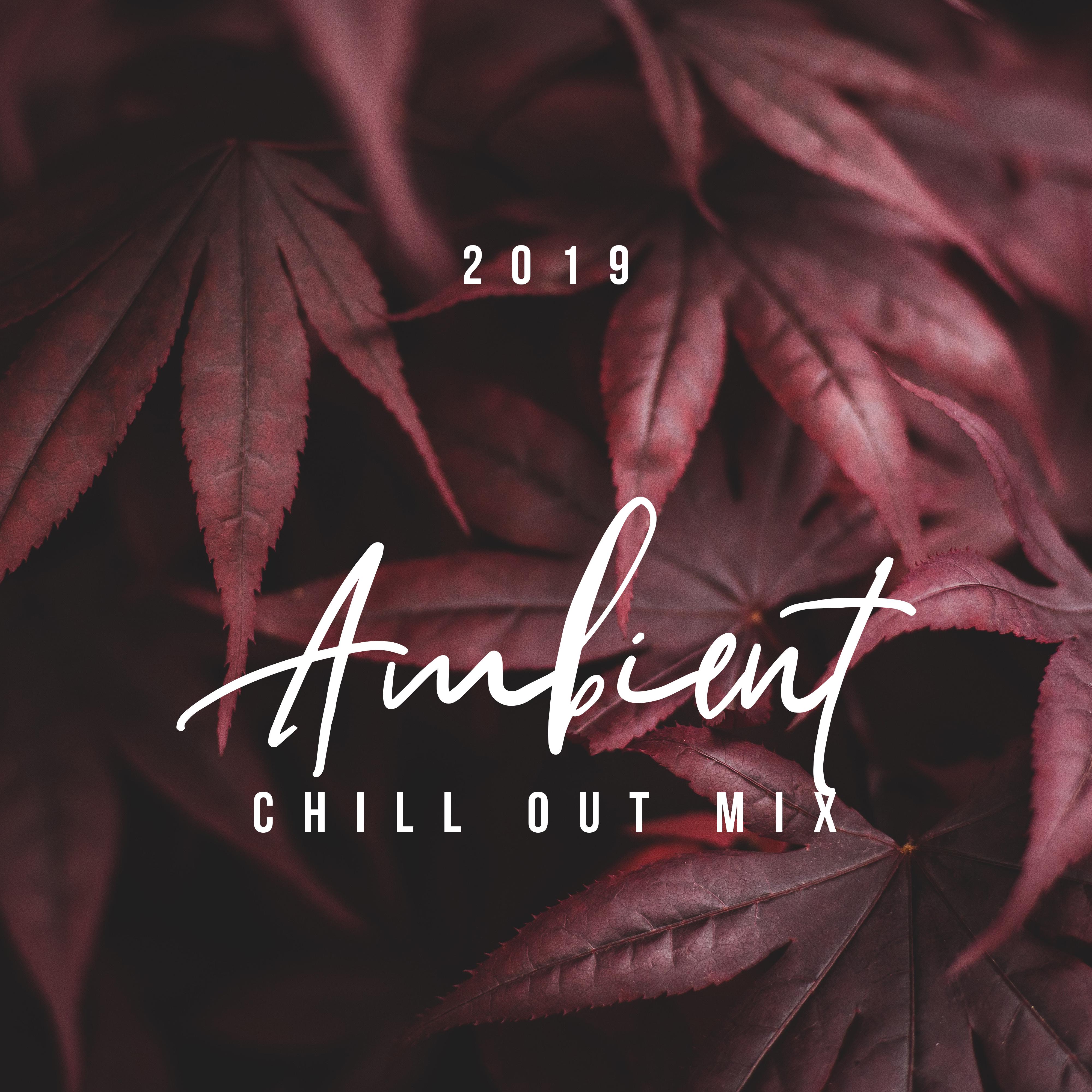 2019 Ambient Chill Out Mix