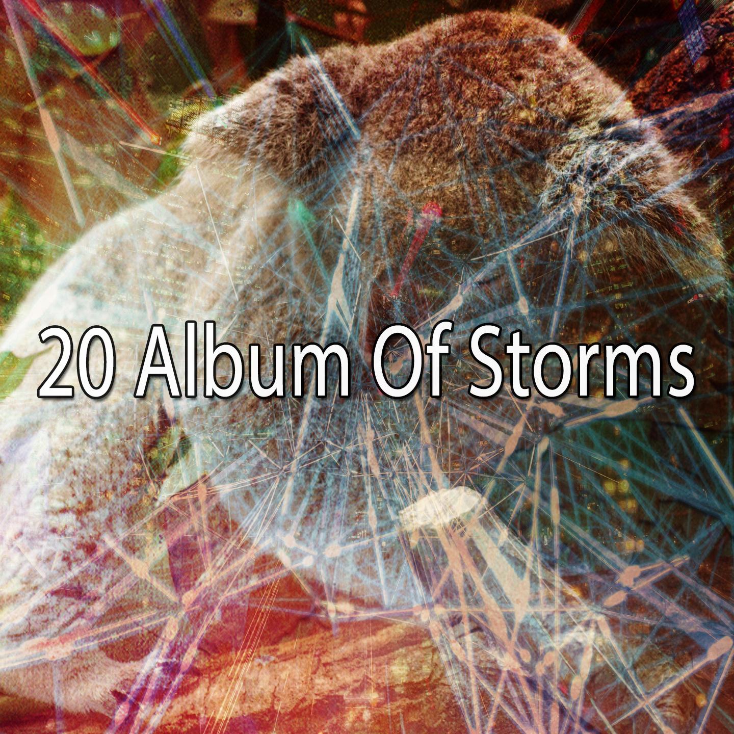 20 Album of Storms