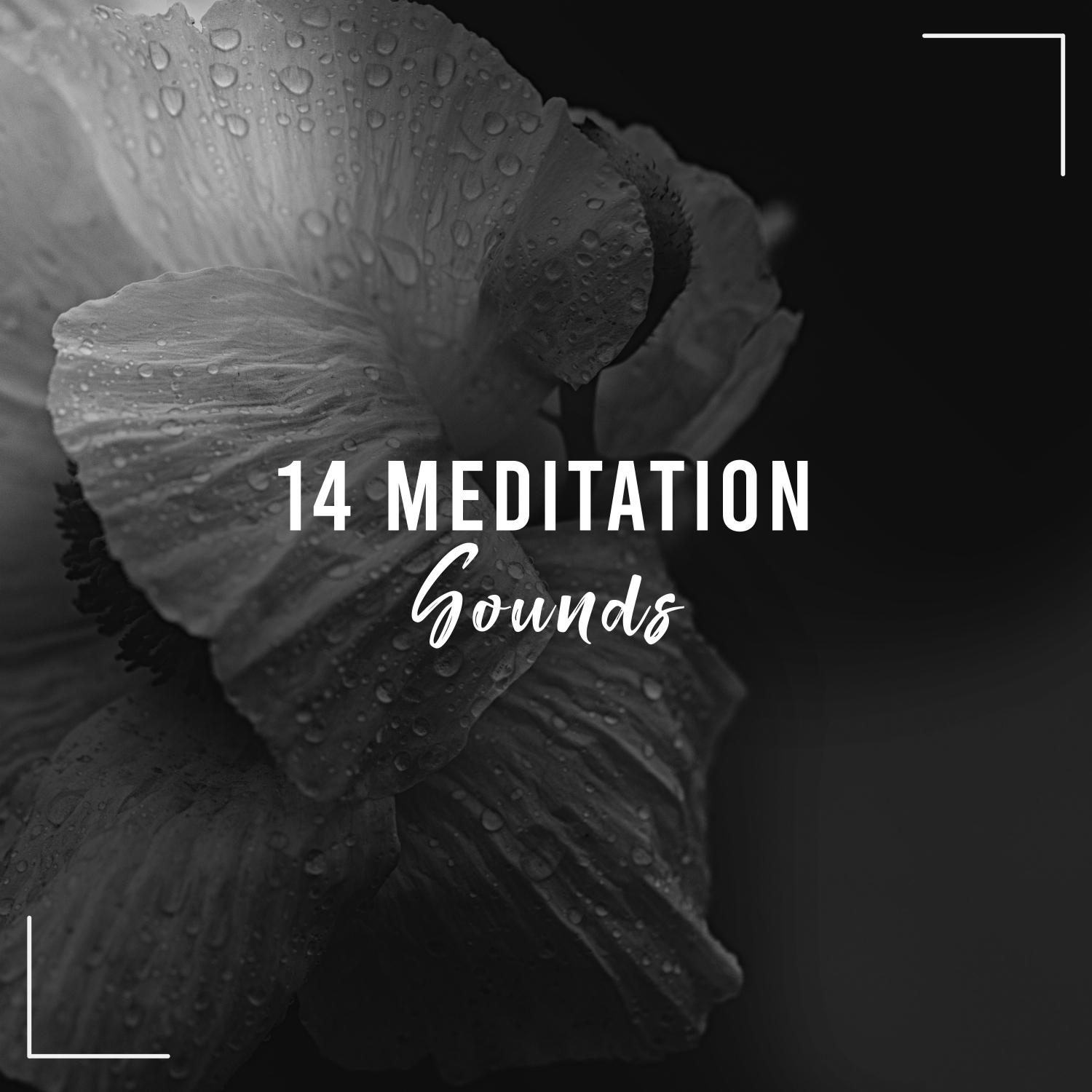 #14 Meditation and Sleep Rain Sound Collection