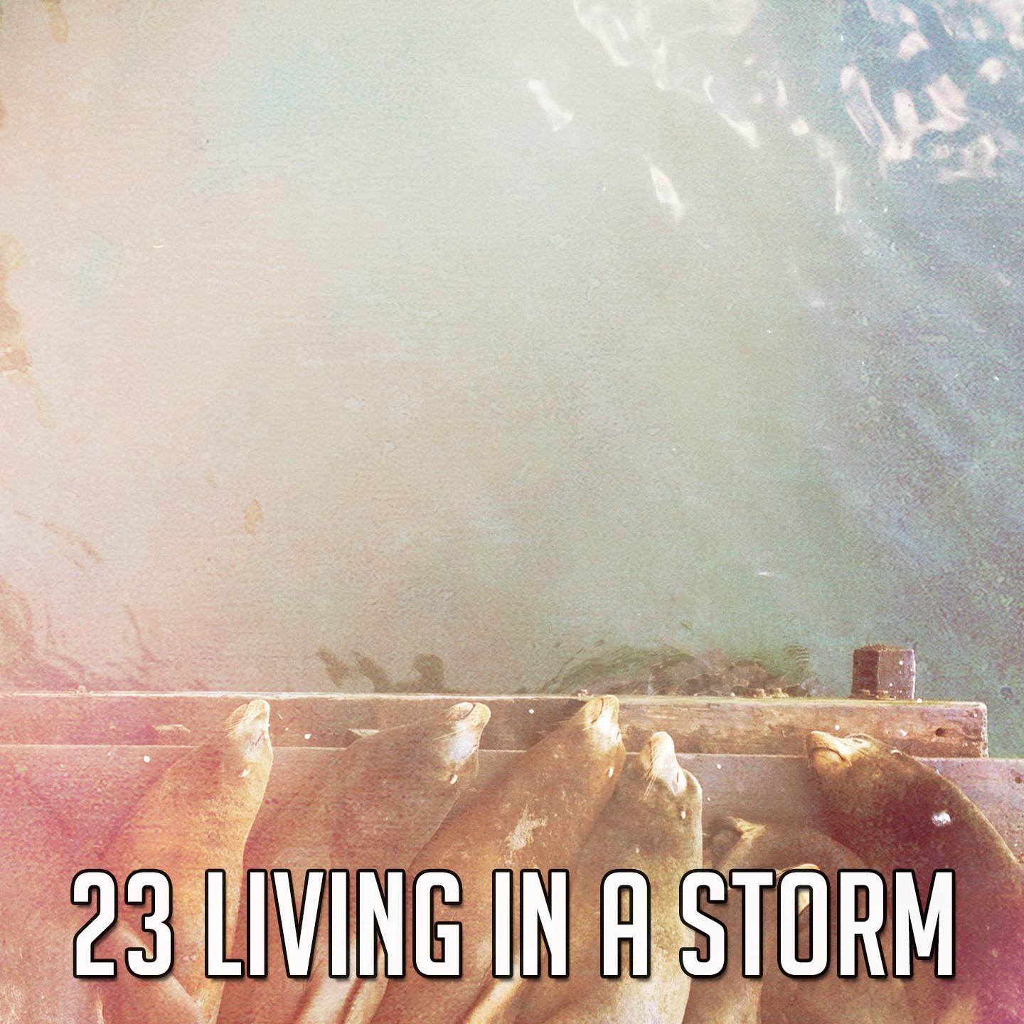 23 Living In a Storm