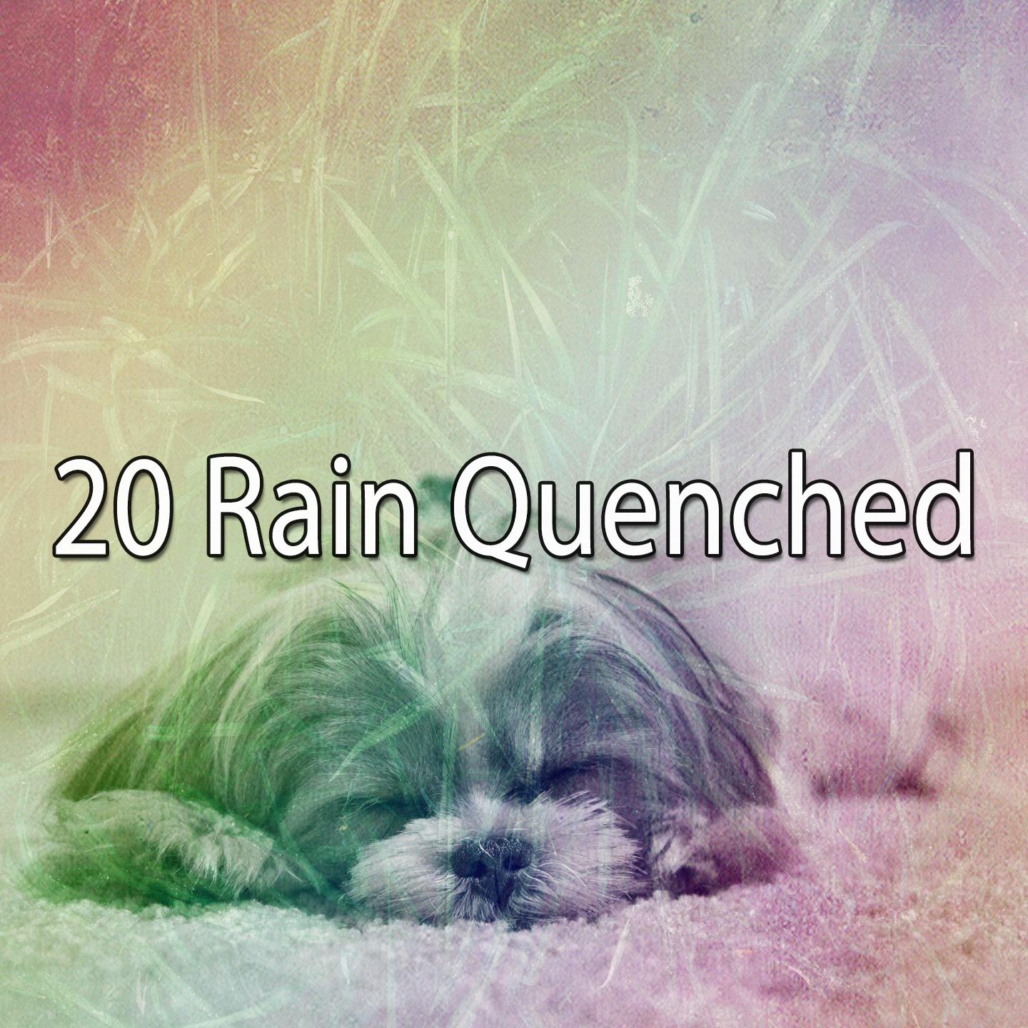 20 Rain Quenched