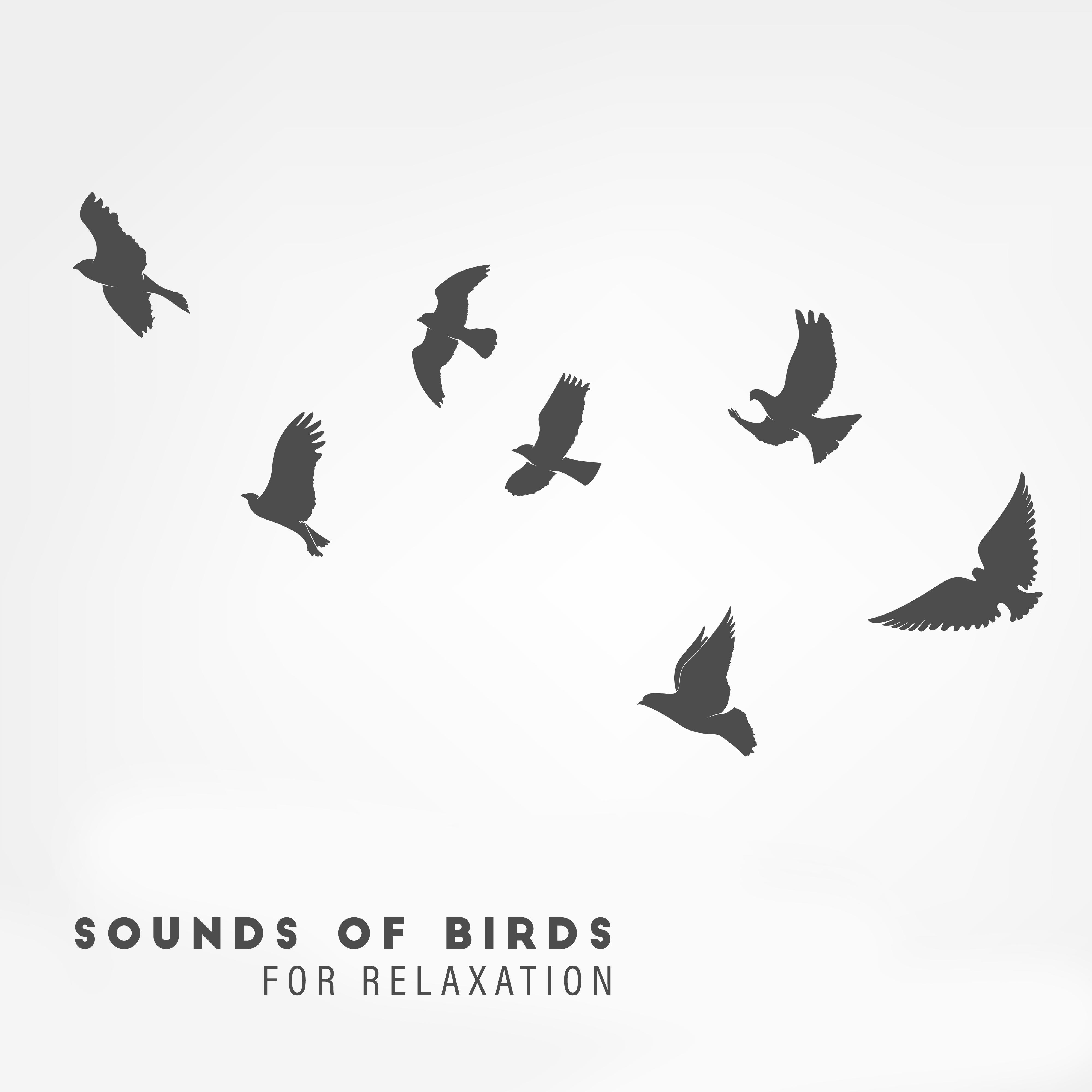 Sounds of Birds for Relaxation – Zen Lounge, Nature Sounds to Calm Down, Reduce Stress, Healing Music for Rest, Sleep, Meditation Music Zone