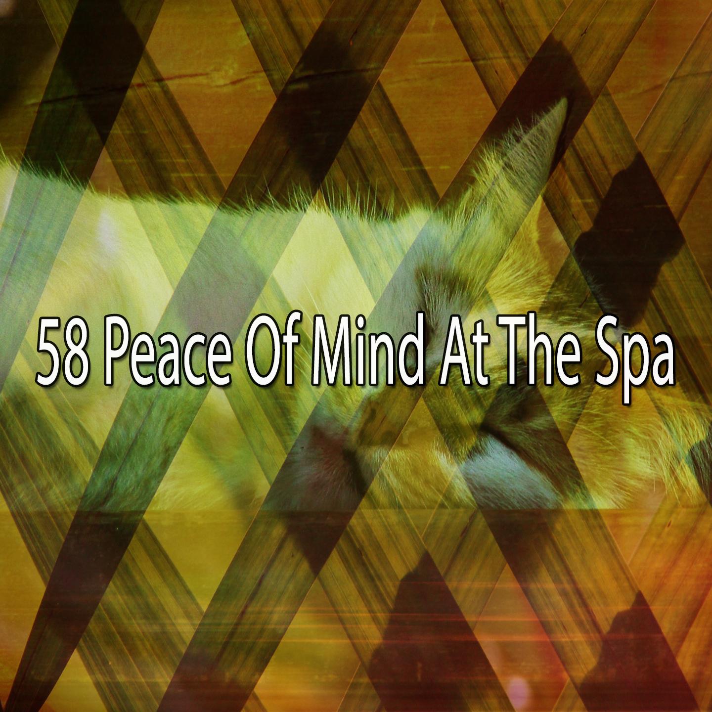 58 Peace of Mind at the Spa