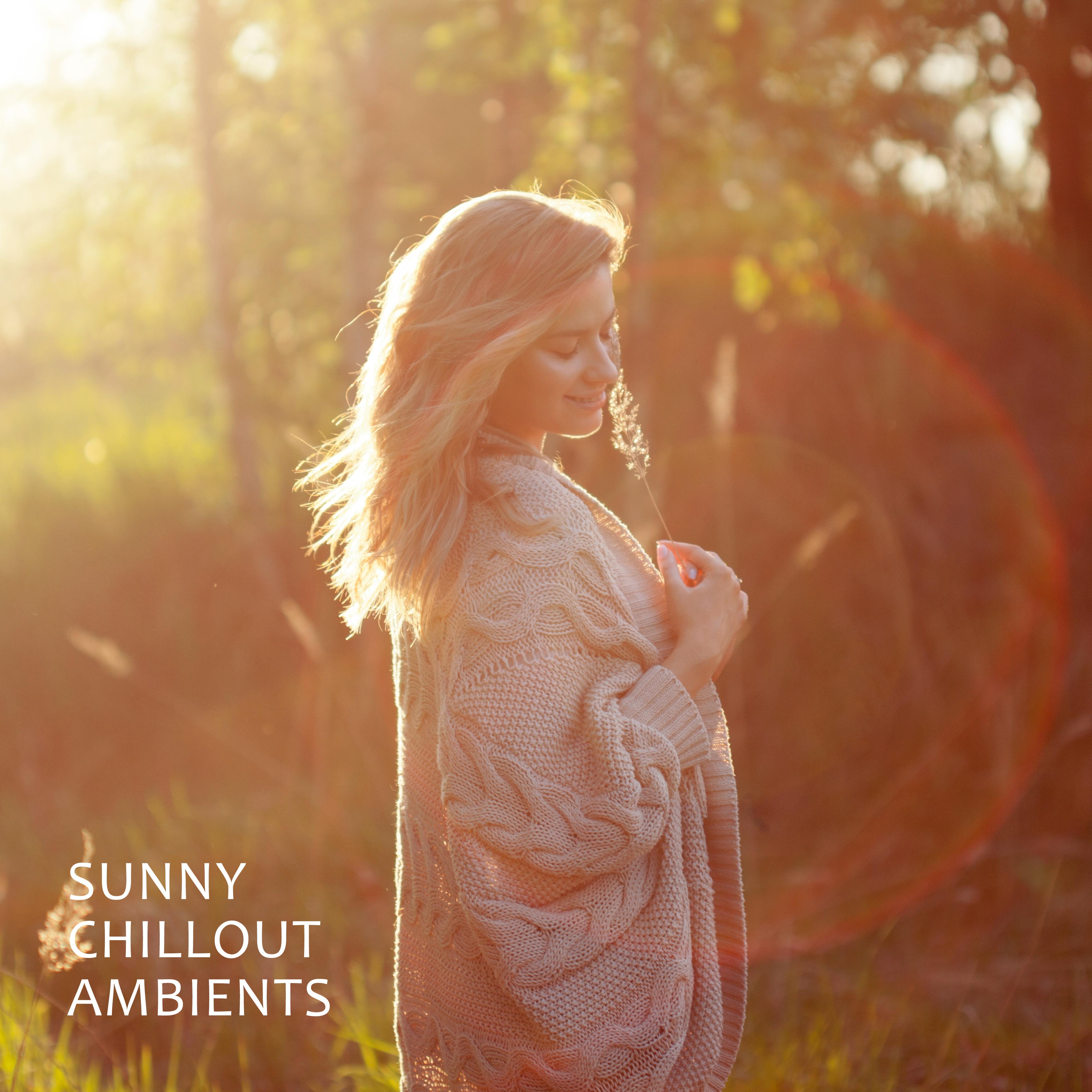 Sunny Chillout Ambients: 2019 Electronic Slow Chill Out Melodies, Deep Music for Best Relaxation & Sunny Day Celebration, Baleraric Lounge Sounds