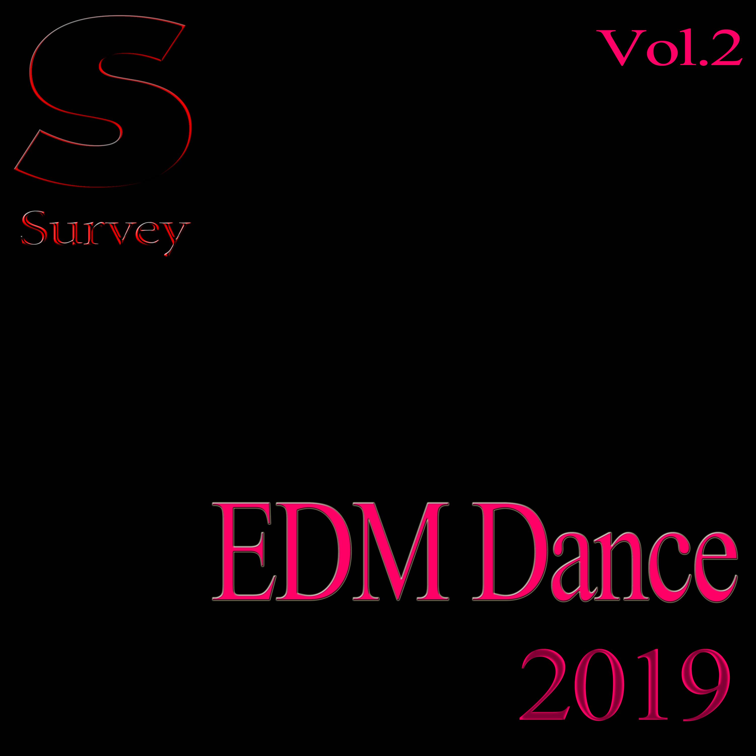 EDM Dance 2019, Vol.2