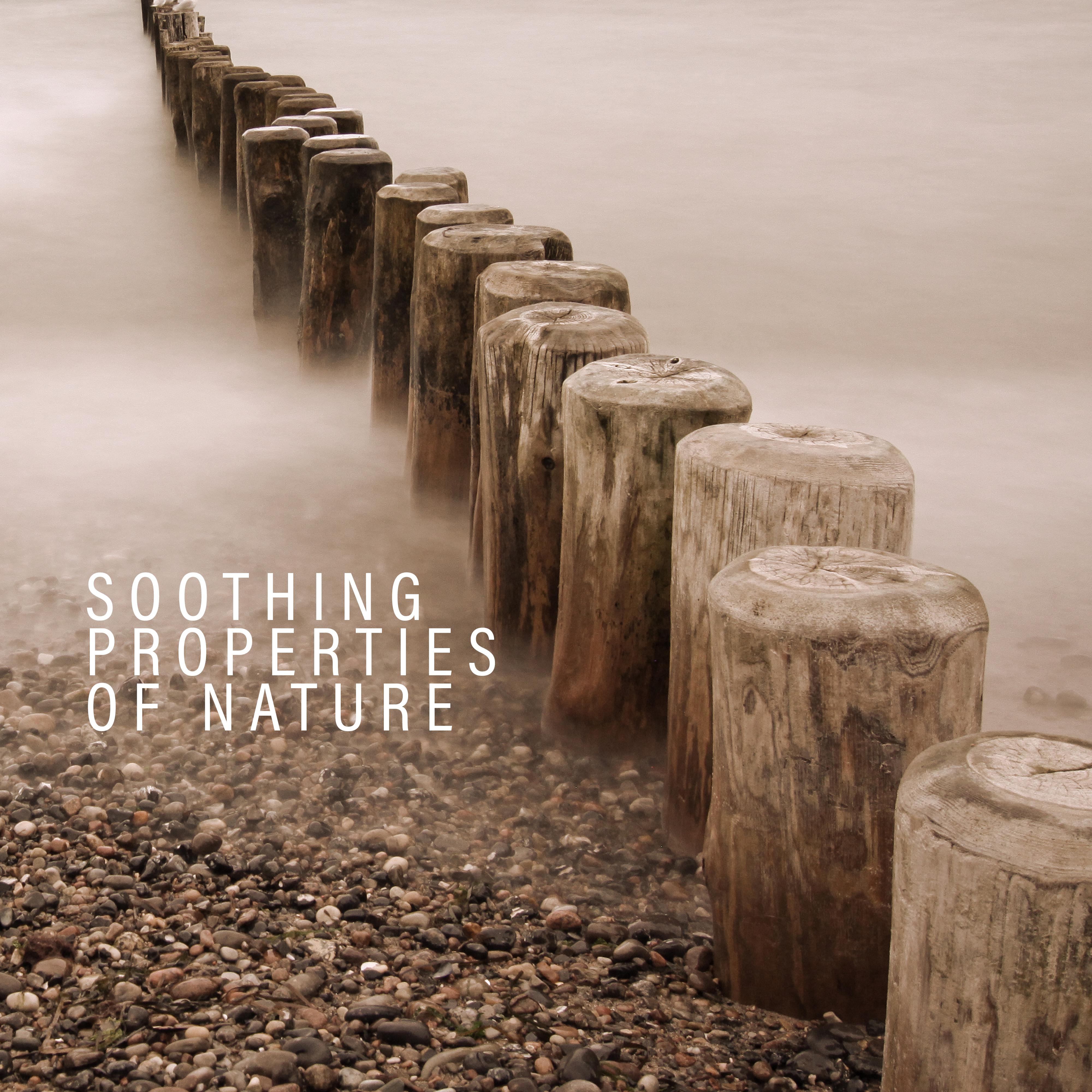 Soothing Properties of Nature - 15 Healing Soundtracks to Relieve Stress and Tension, Insomnia, Anger, Fatigue and Negative Emotions