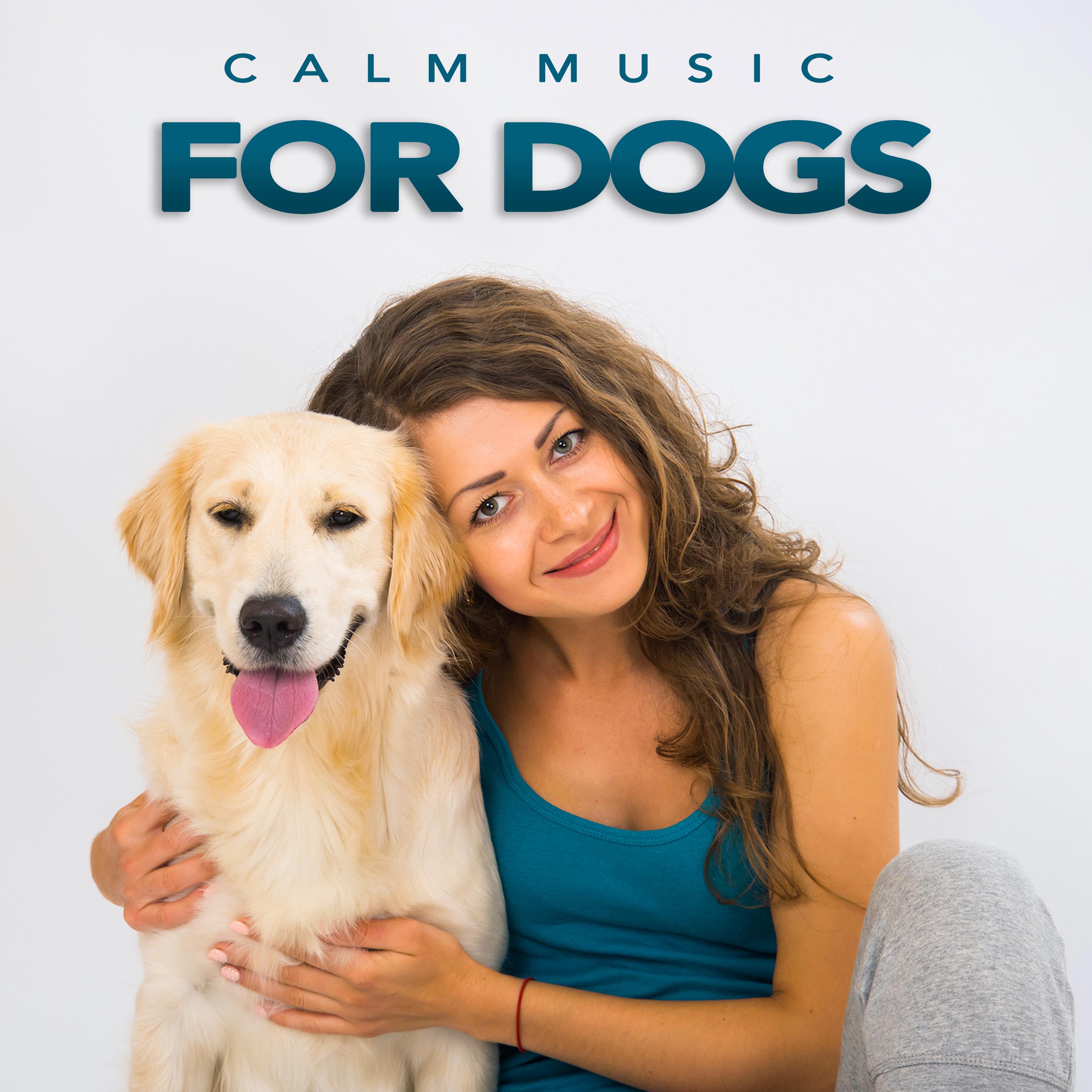 Calm Music For Dogs: Soothing Instrumental Dog Music For Pet Relaxation, Music For Dog's Ears and The Best Music For Pets