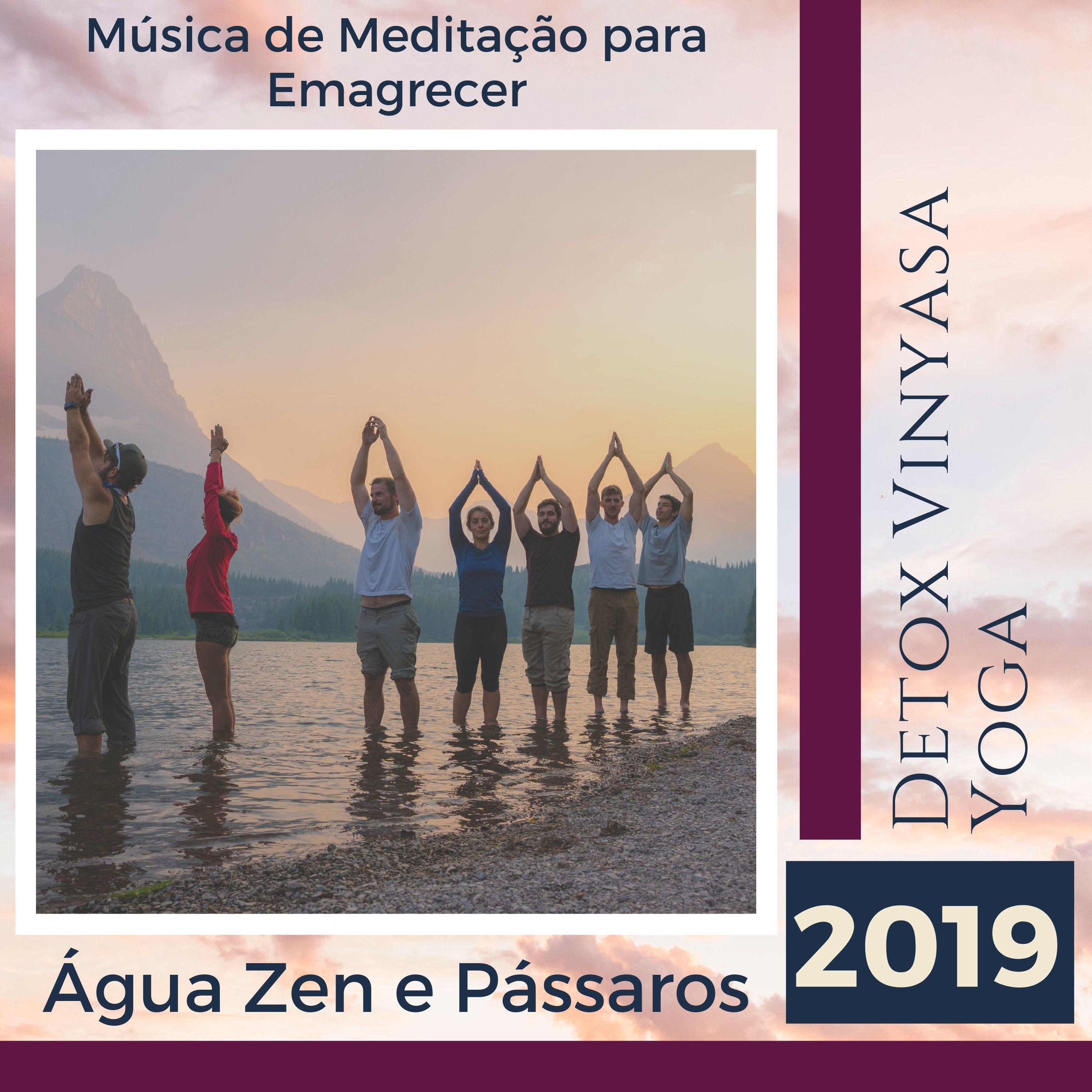 Detox Vinyasa Yoga 2019 - Música de Meditação para Emagrecer, Água Zen e Pássaros
