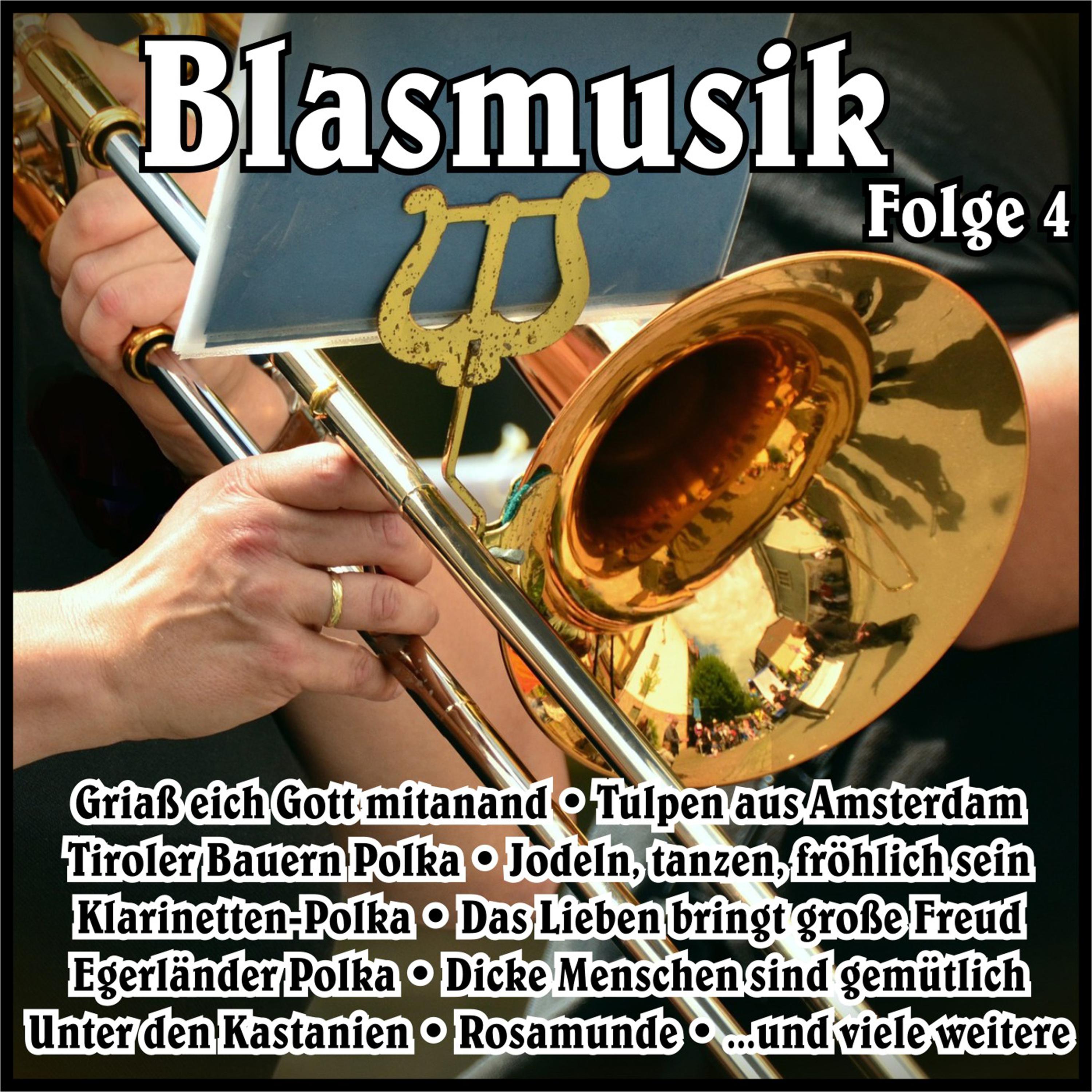 Blasmusik, Vol. 4