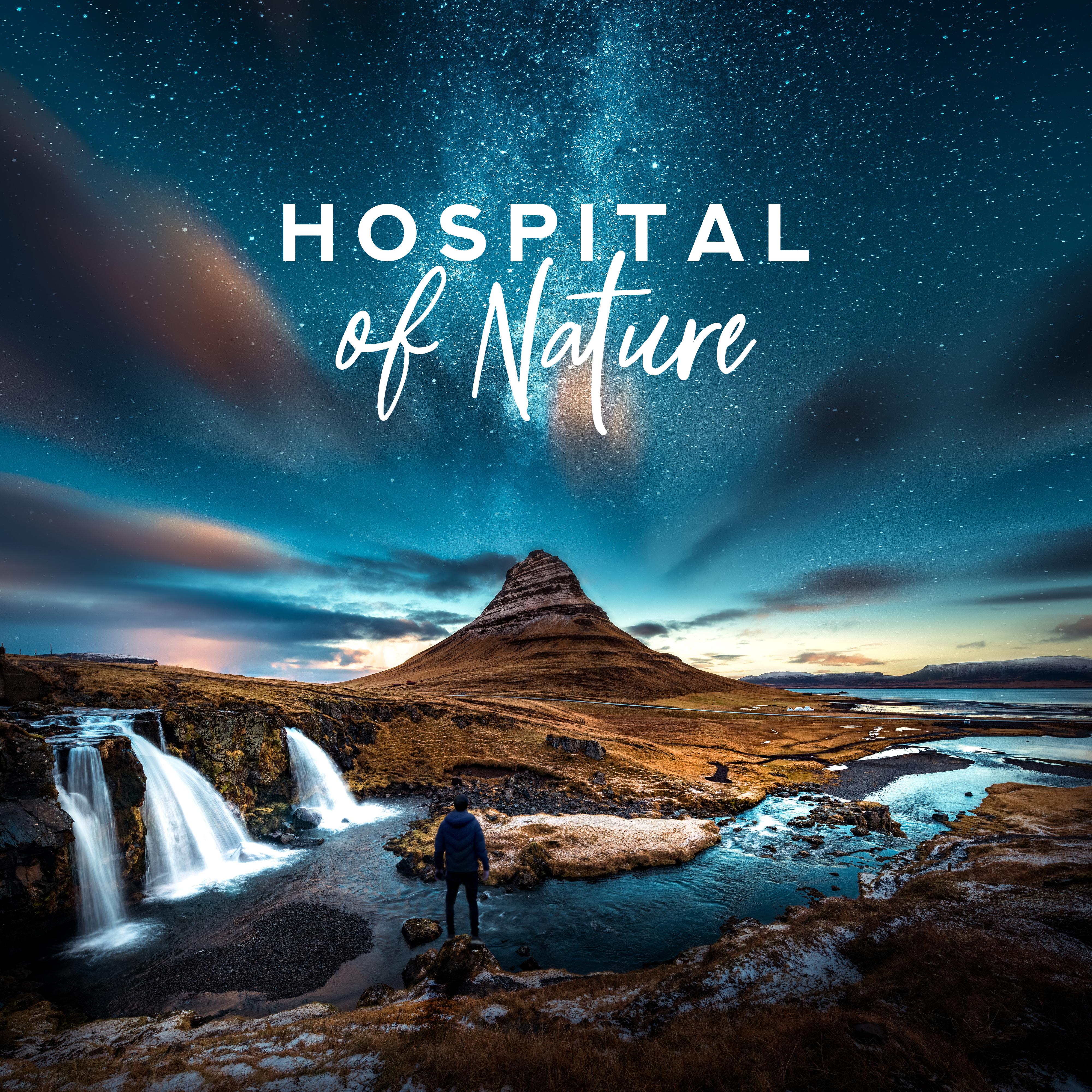 Hospital of Nature - Healing Soundscapes to Overcome Stress and Tension, Insomnia and Sleep Problems, Neurosis and Hyperactivity, #2019 Relaxation Music