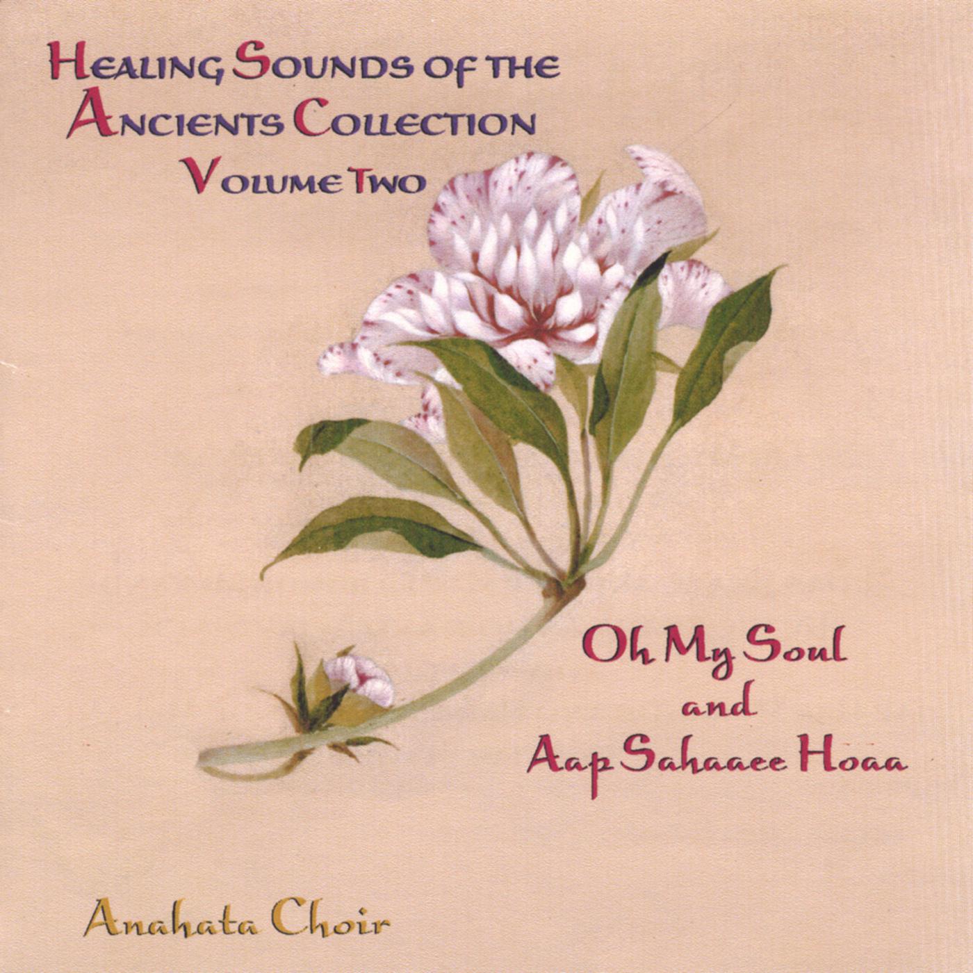 Healing Sounds of the Ancients Vol. Two