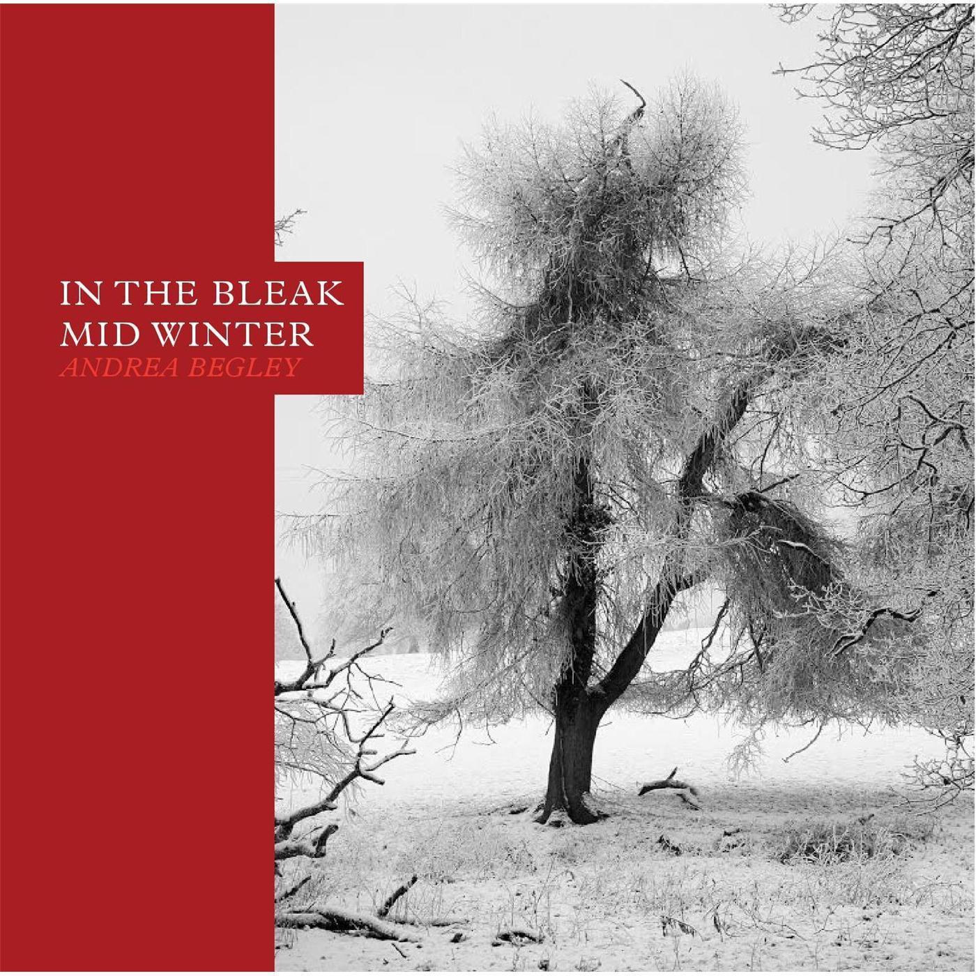 In the Bleak Midwinter