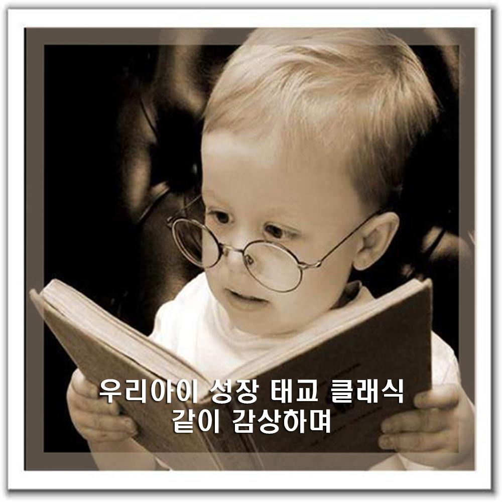 우리아이 성장 태교 클래식 같이 감상하며