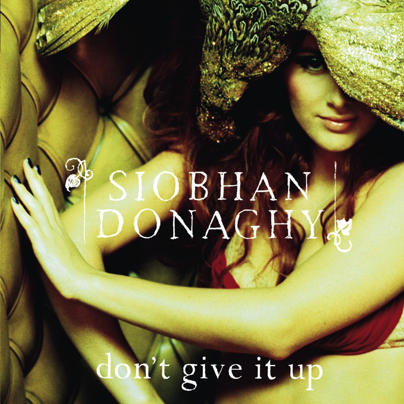 Don't Give It Up (Acoustic Version) - unplug