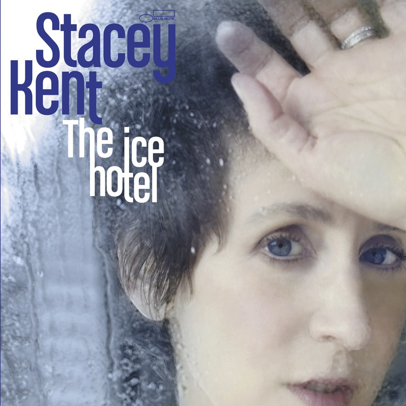 The Ice Hotel (Radio Edit)