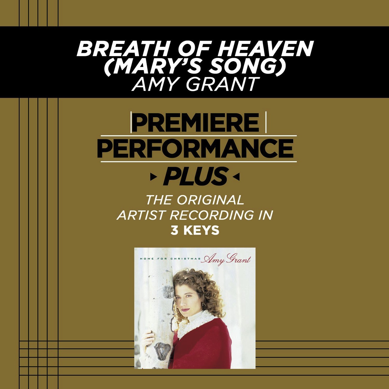 Breath Of Heaven (Mary's Song) (Performance Track In Key Of Bm Without Background Vocals)