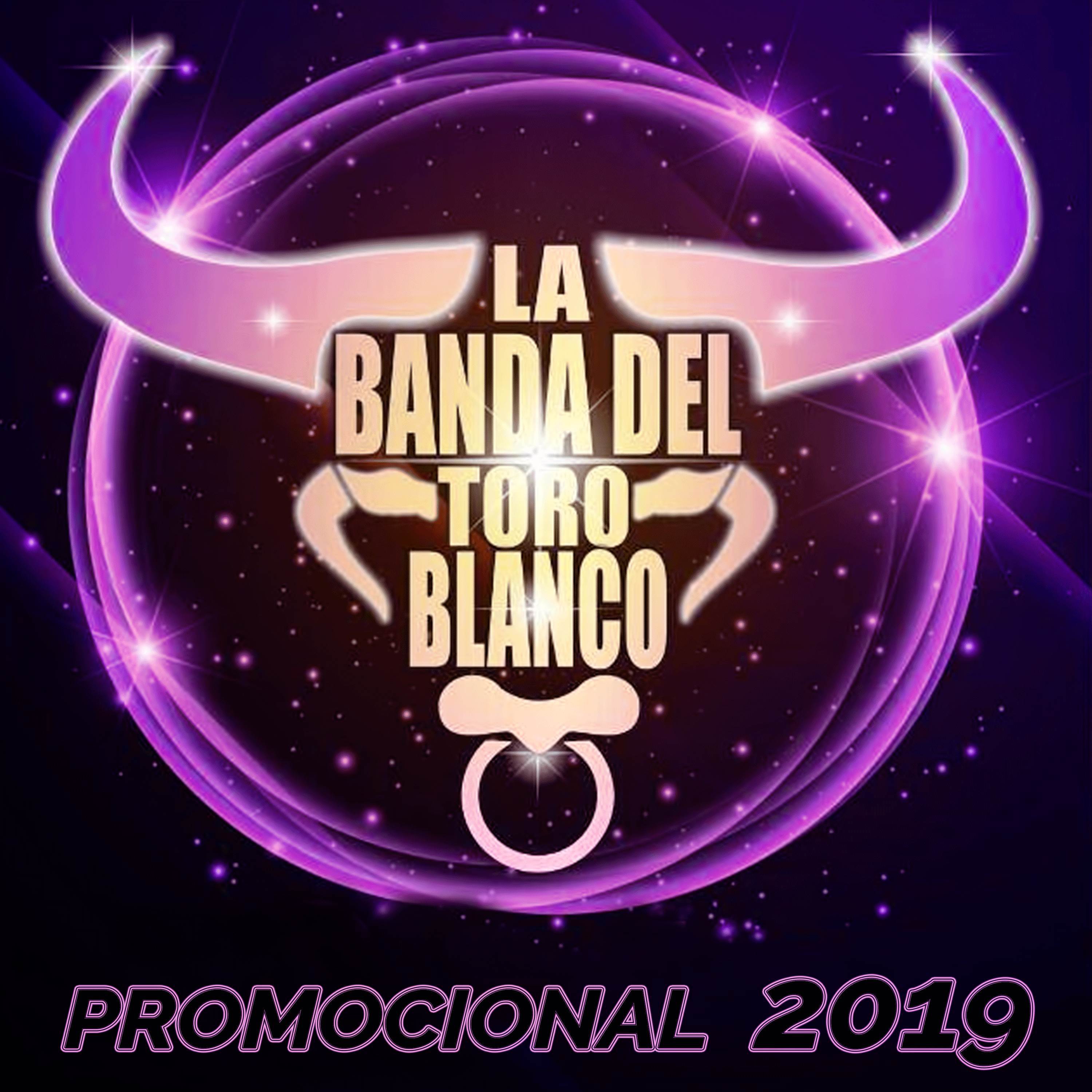 Promocional 2019