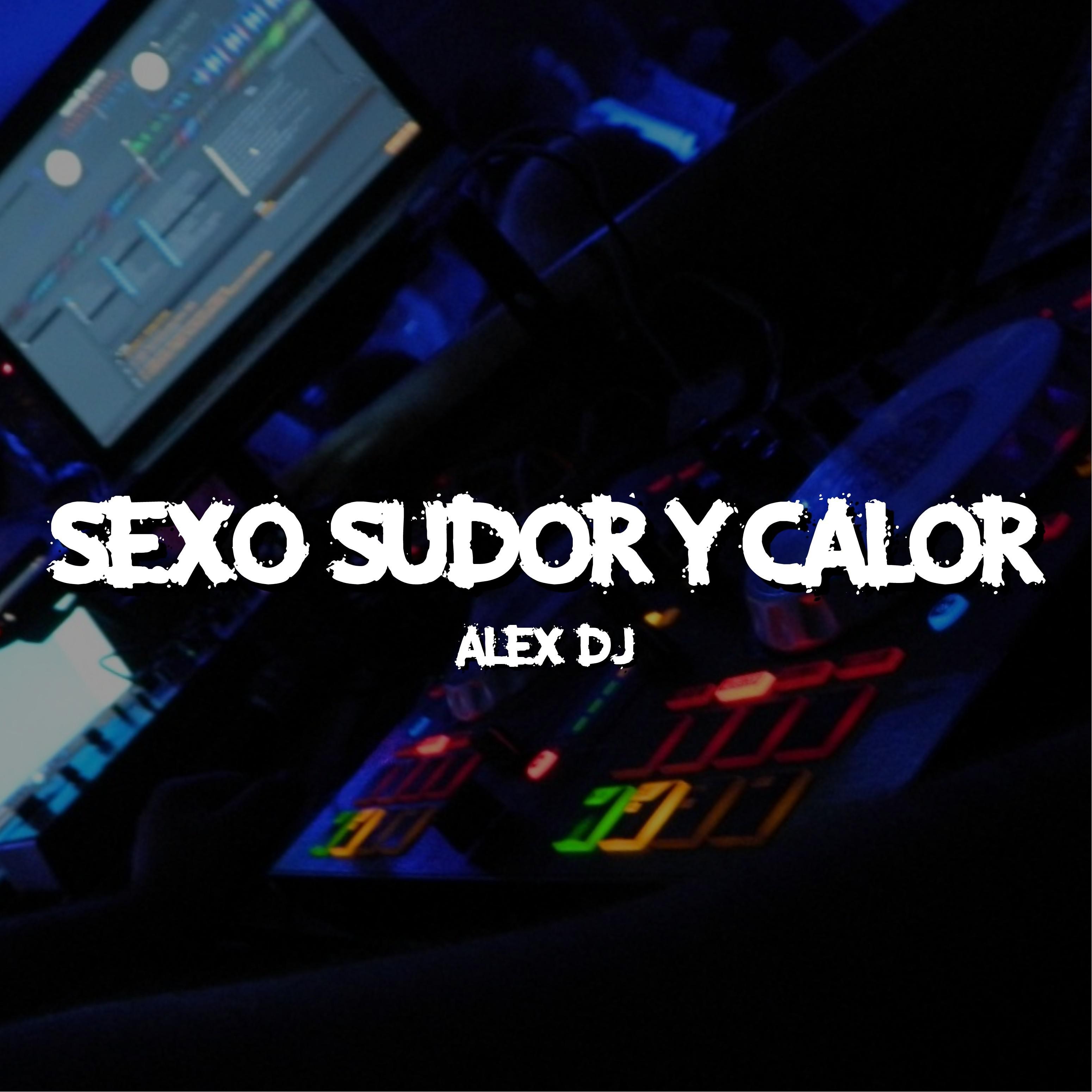 Sexo Sudor Y Calor