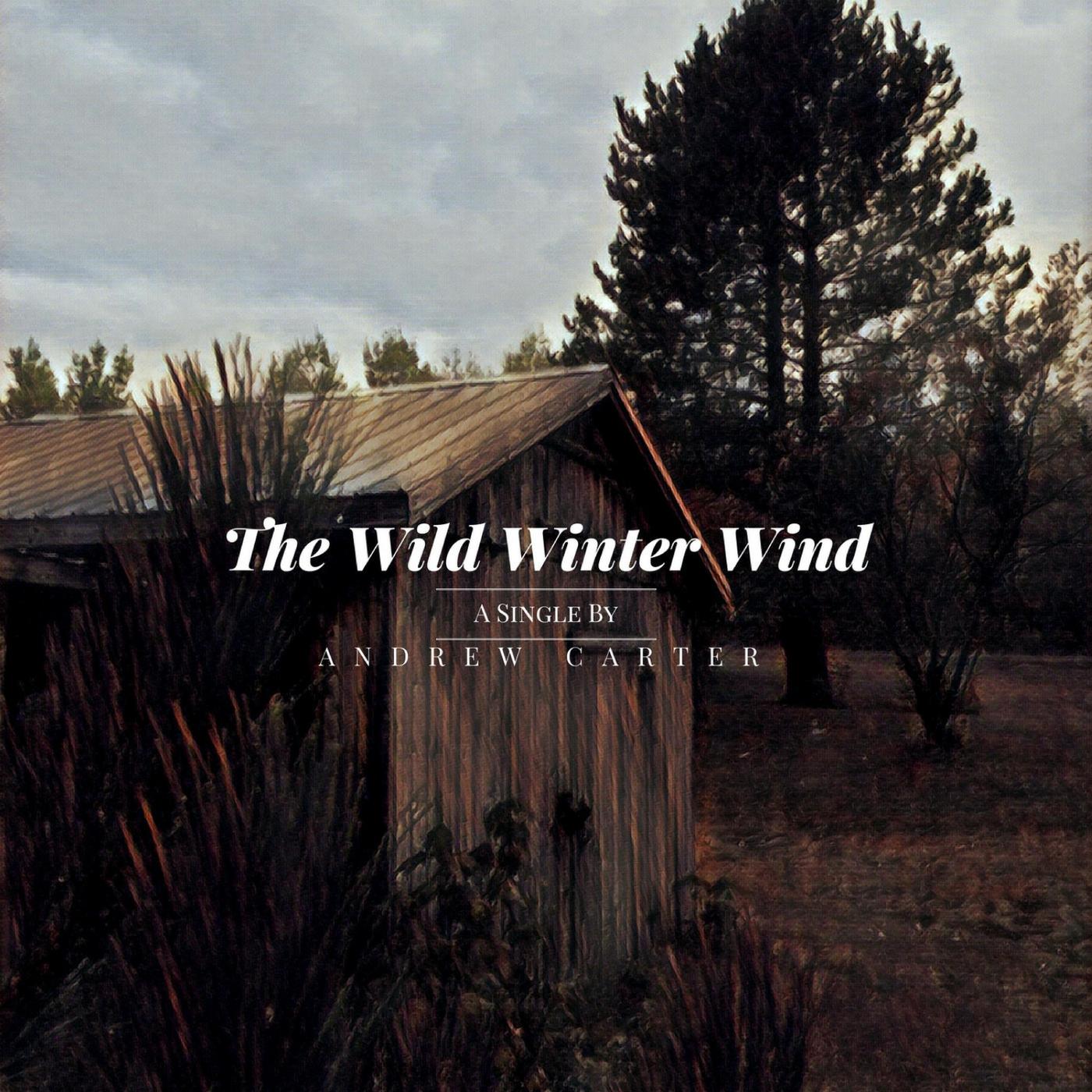 The Wild Winter Wind