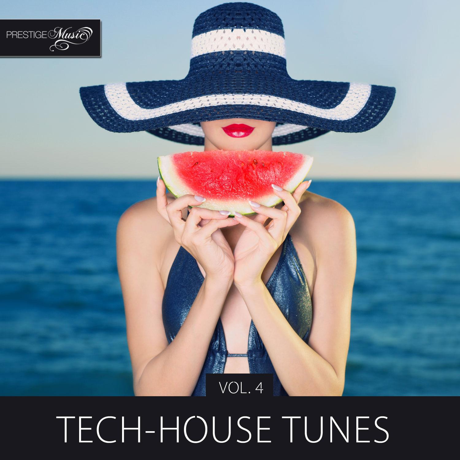 Tech-House Tunes, Vol. 4