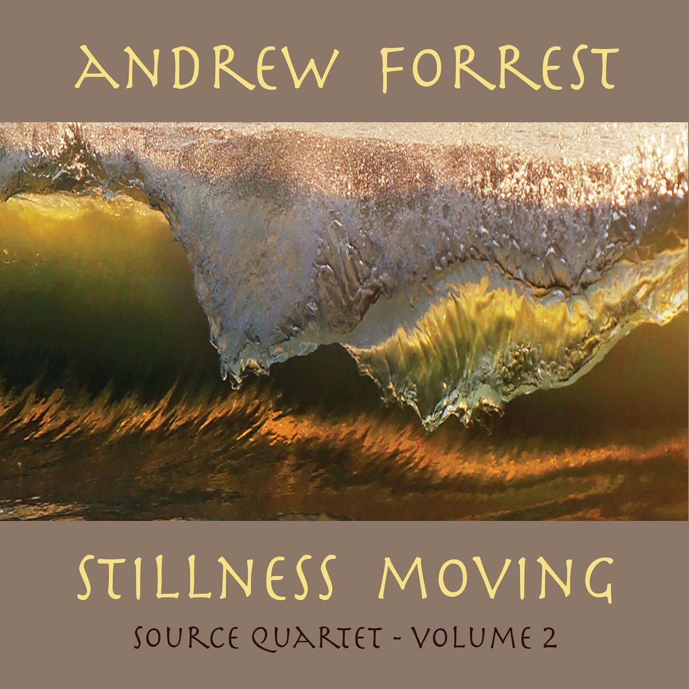 Stillness Moving: Source Quartet, Vol. 2