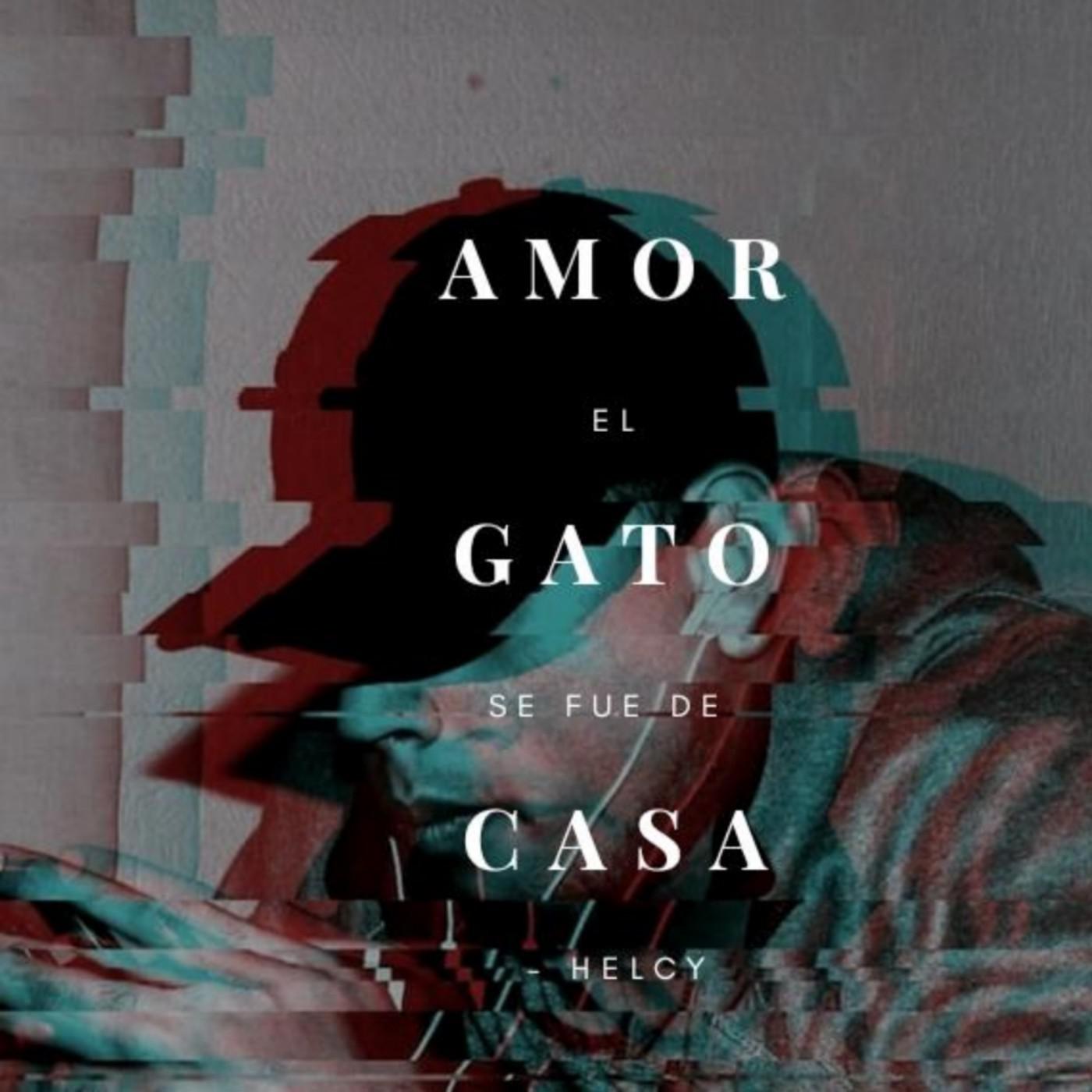 Amor, el Gato Se Fue de Casa