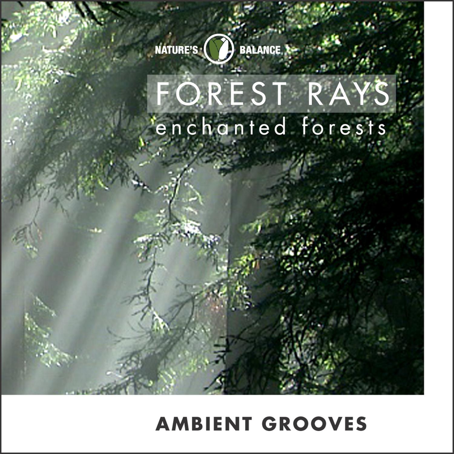 Forest Rays: Ambient Grooves