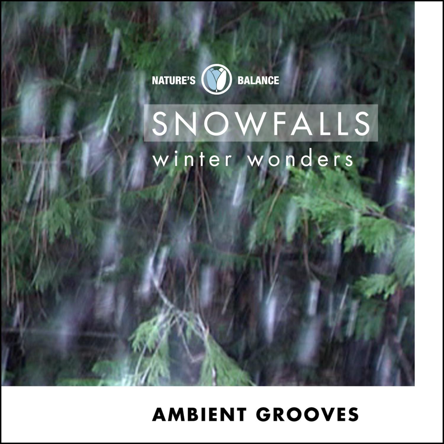 Snow Falls: Ambient Grooves