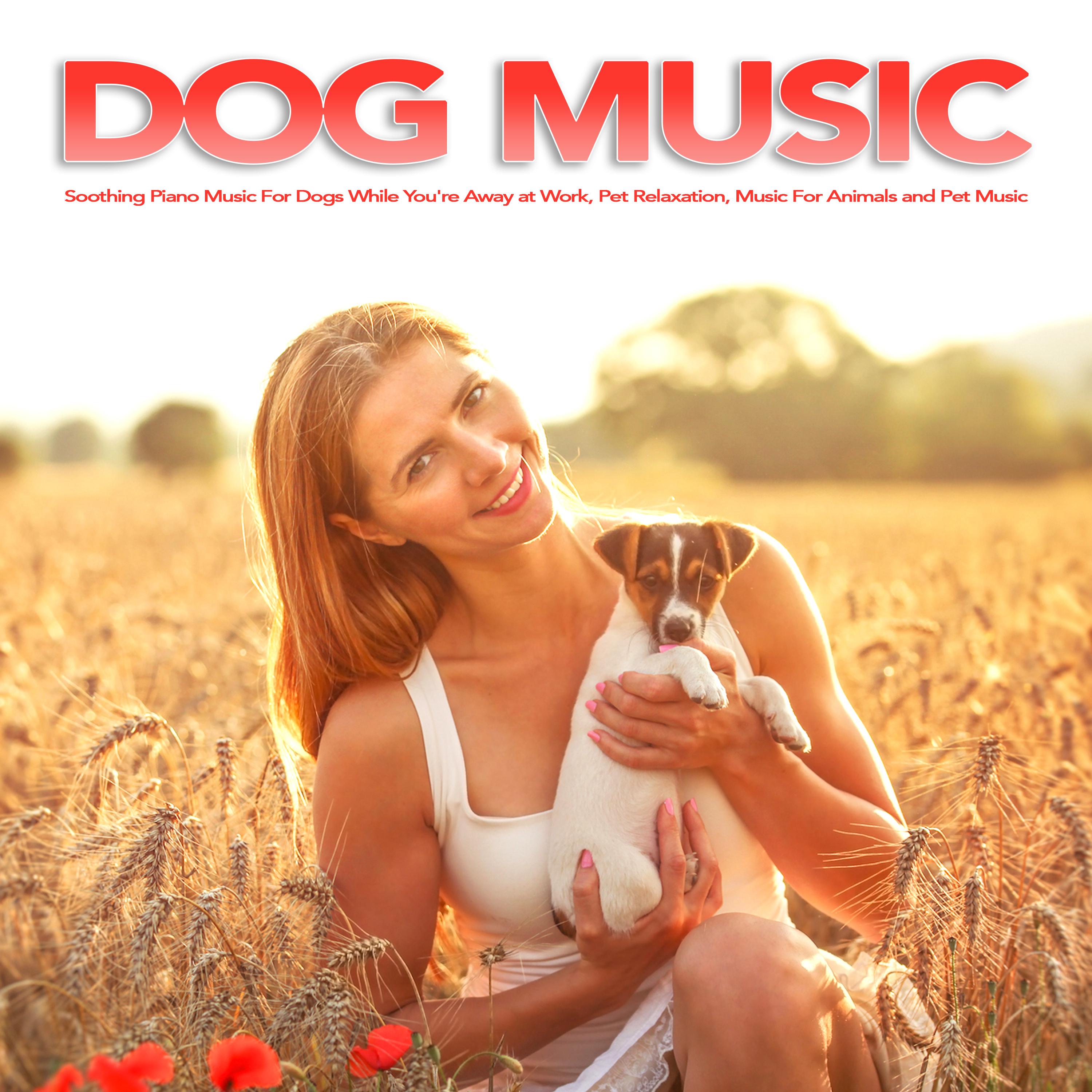 Piano Music For Dogs and Pets