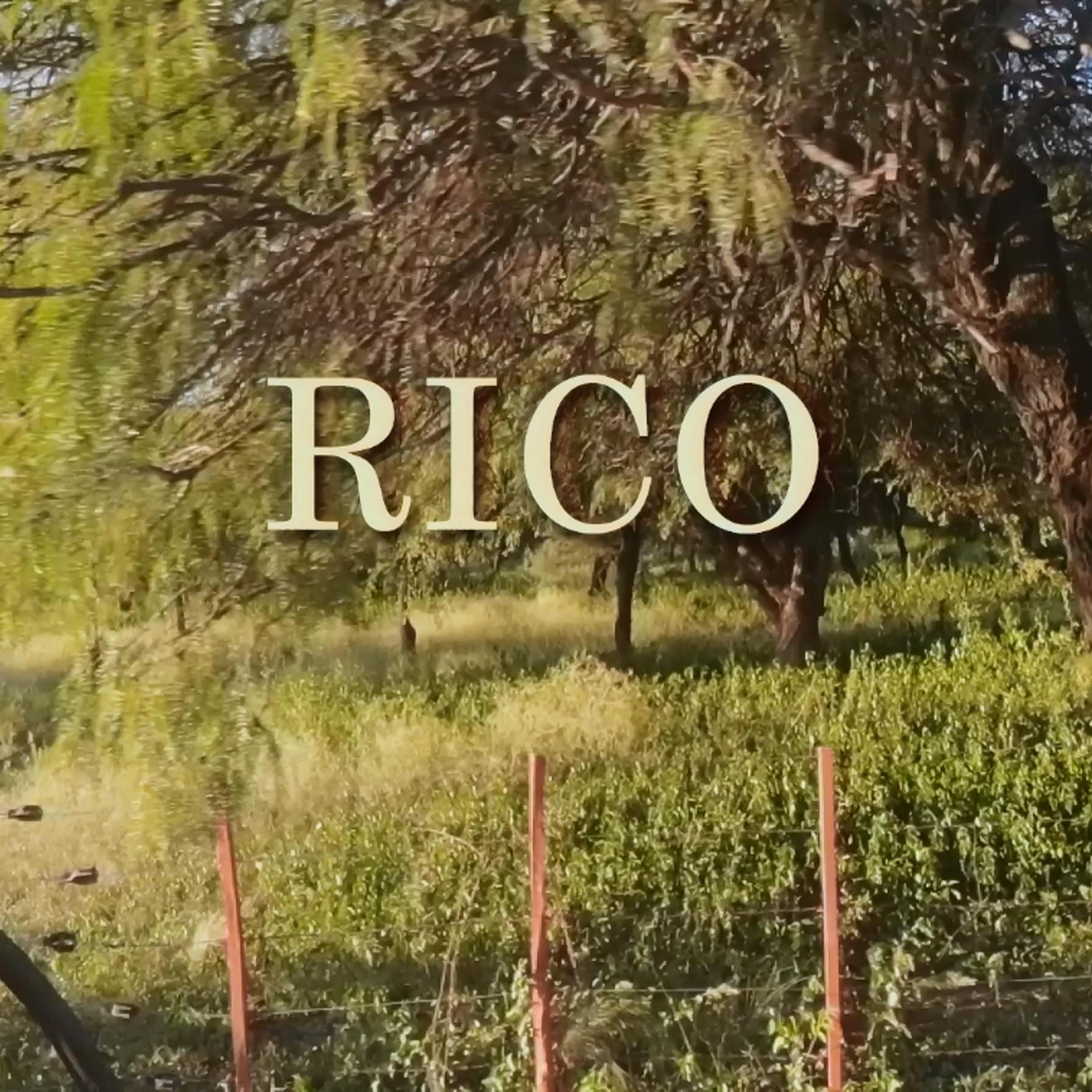 Rico