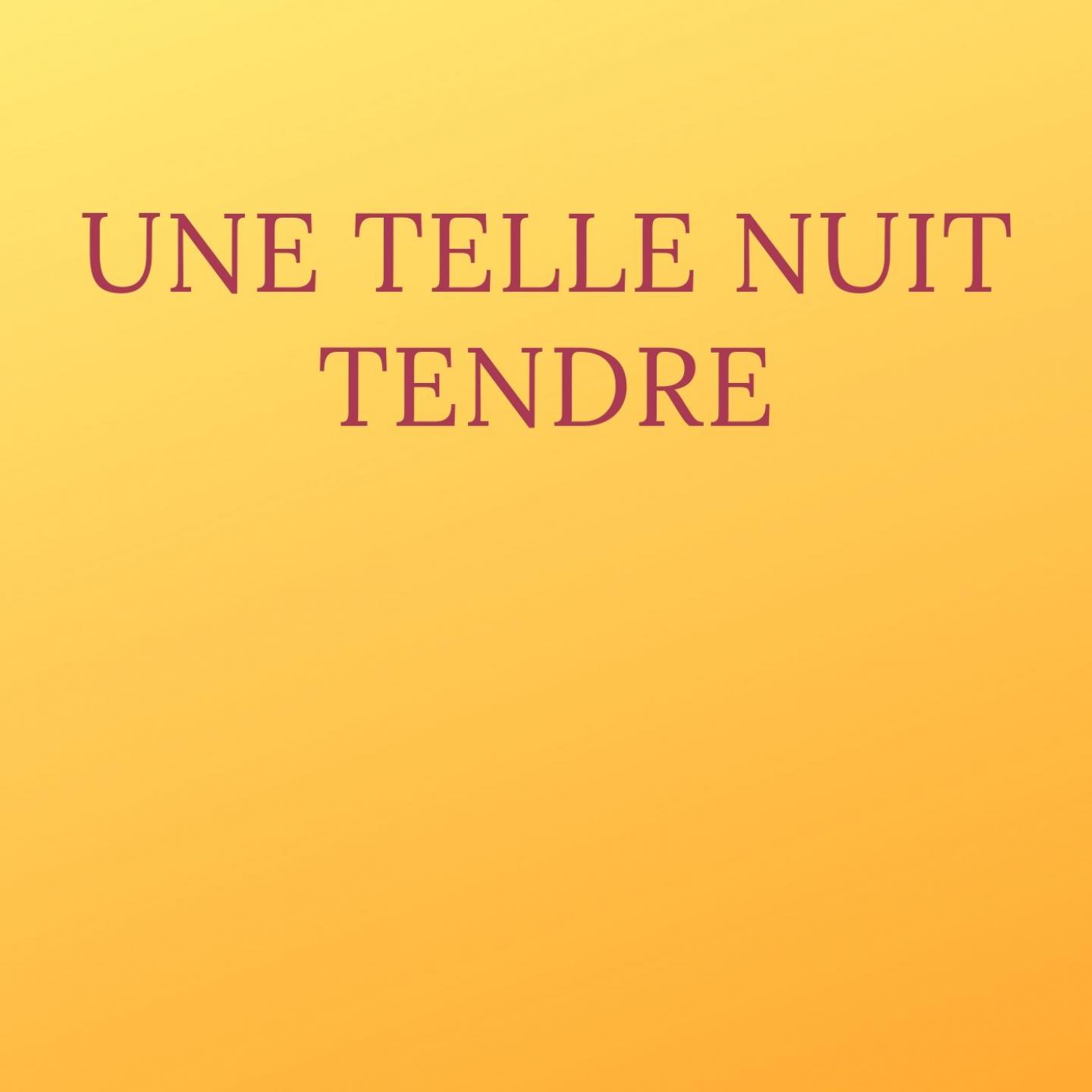 Une telle nuit tendre