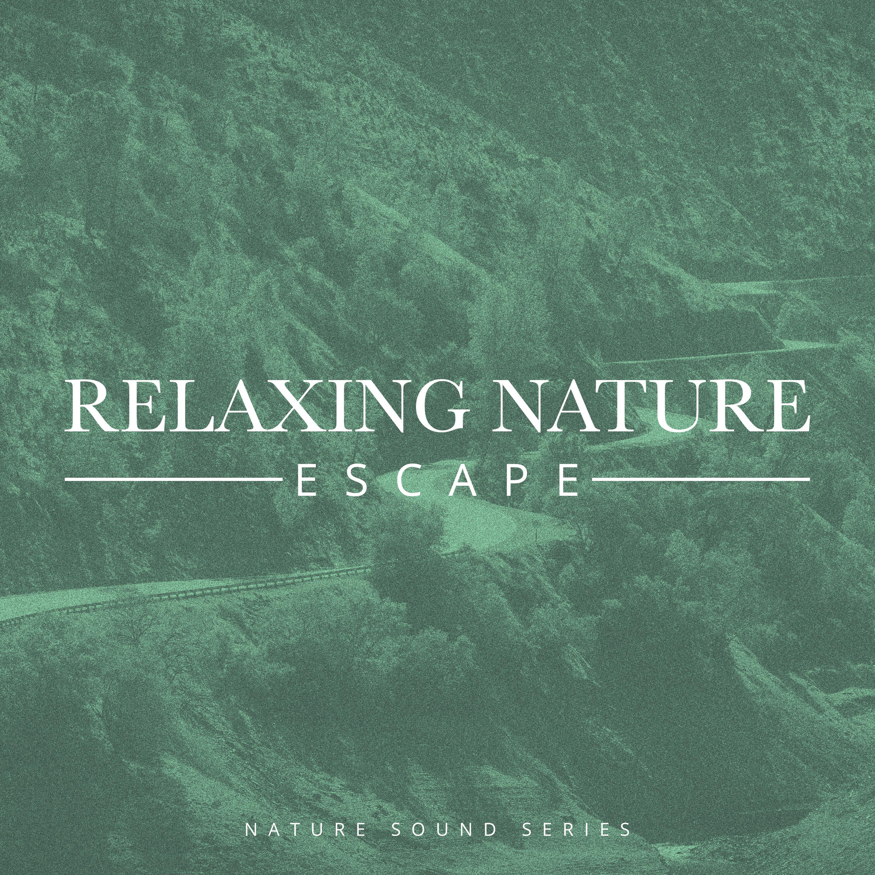 Relaxing Nature Escape