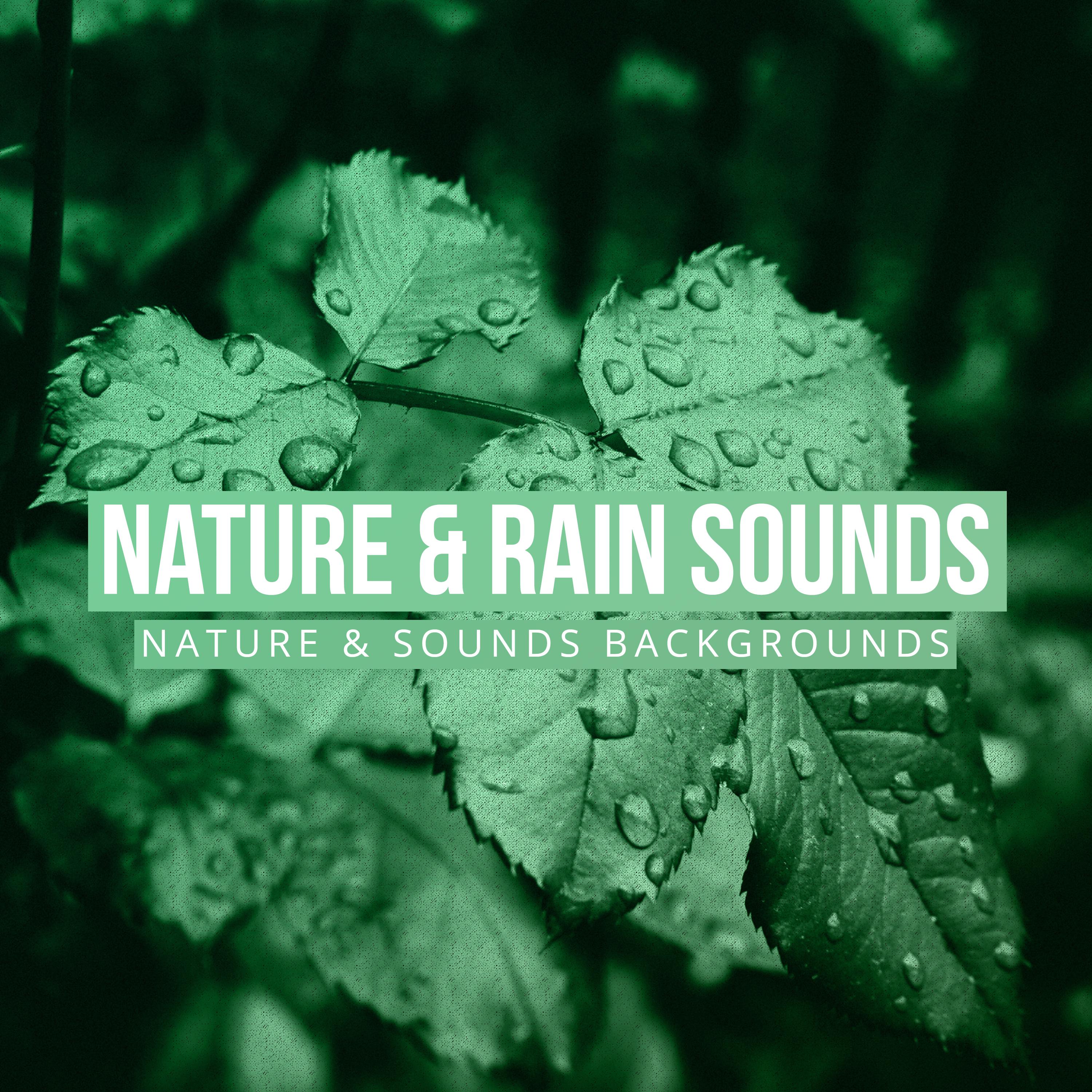 Nature & Rain Sounds