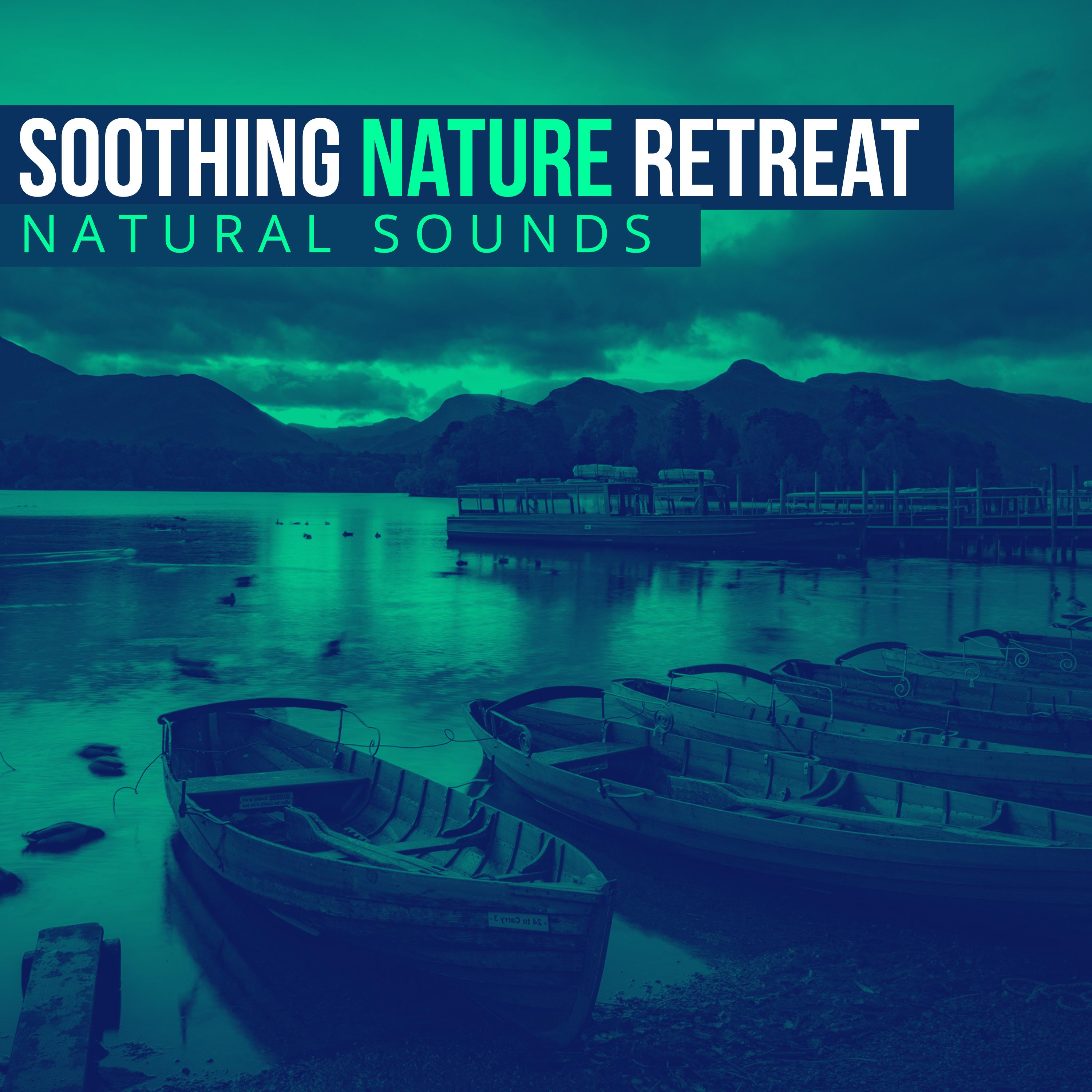 Soothing Nature Retreat